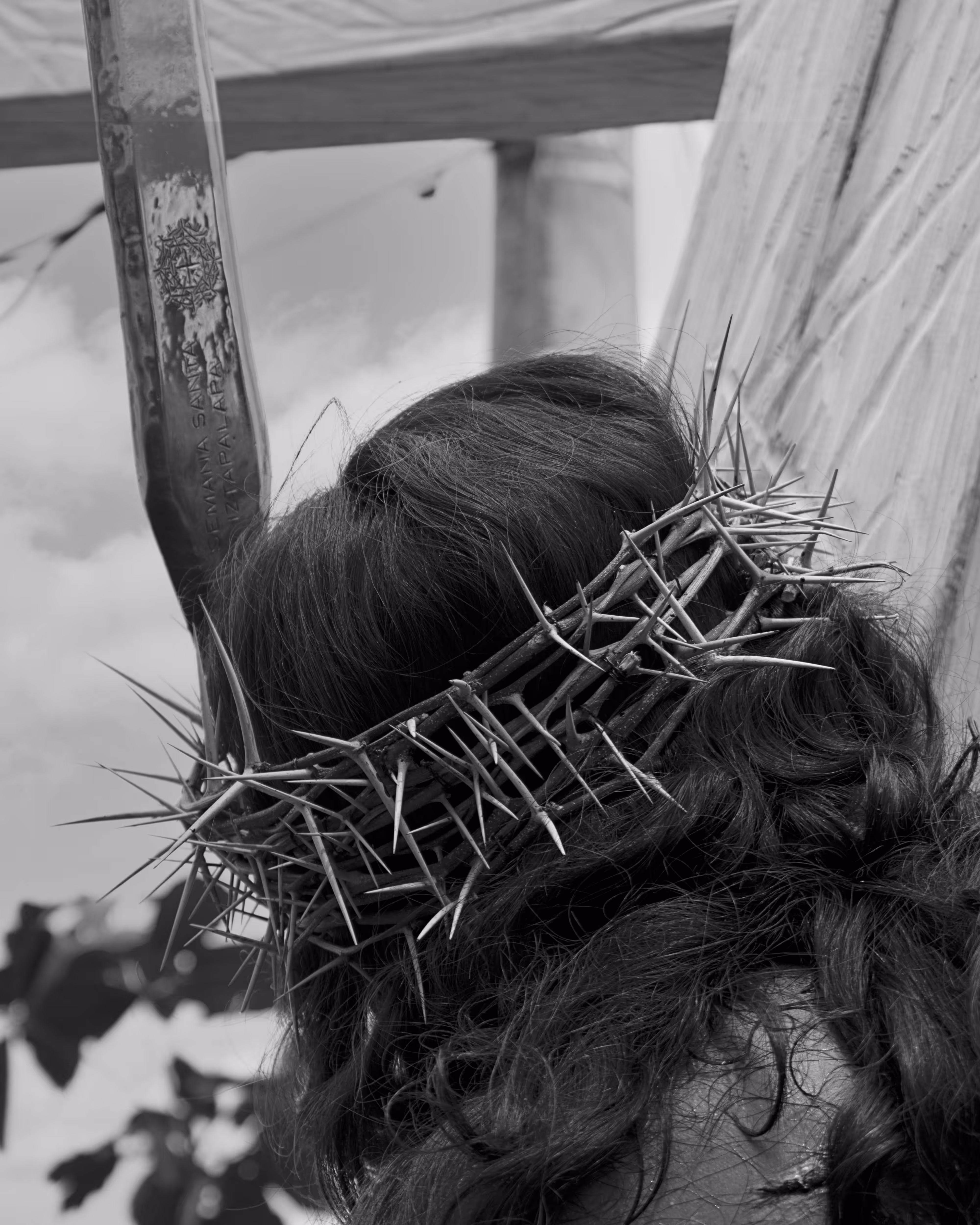 Crown of thorns