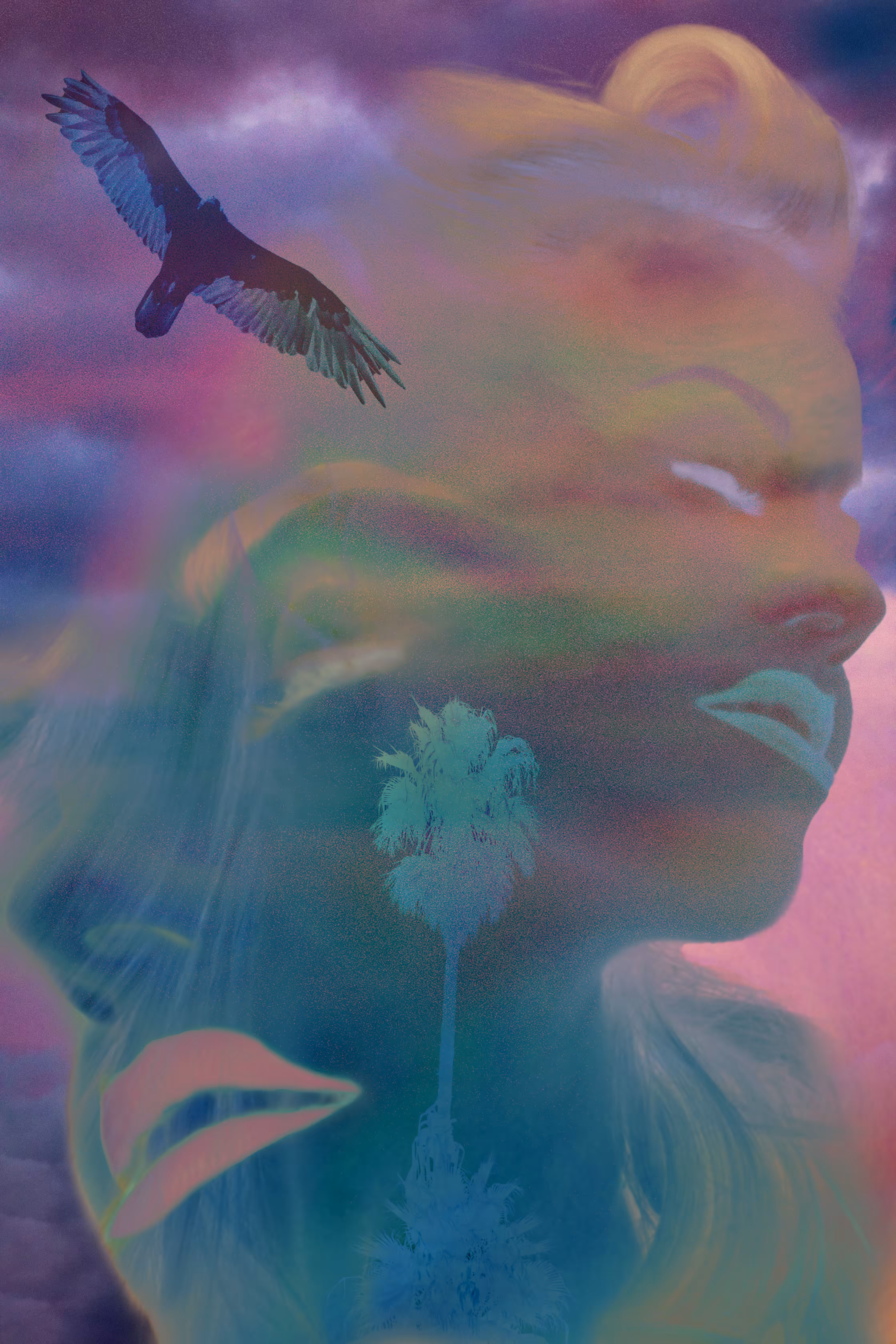 Free Bird