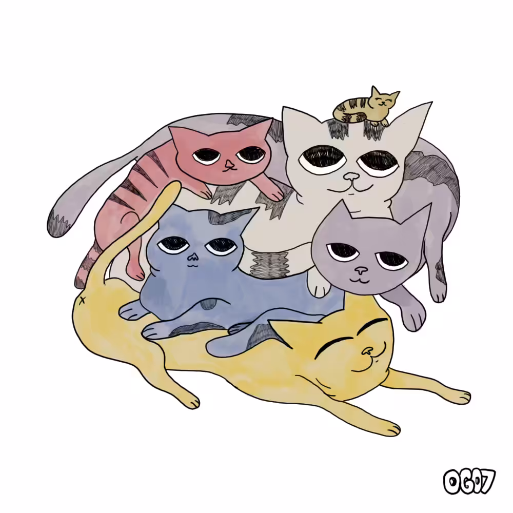 gatitos