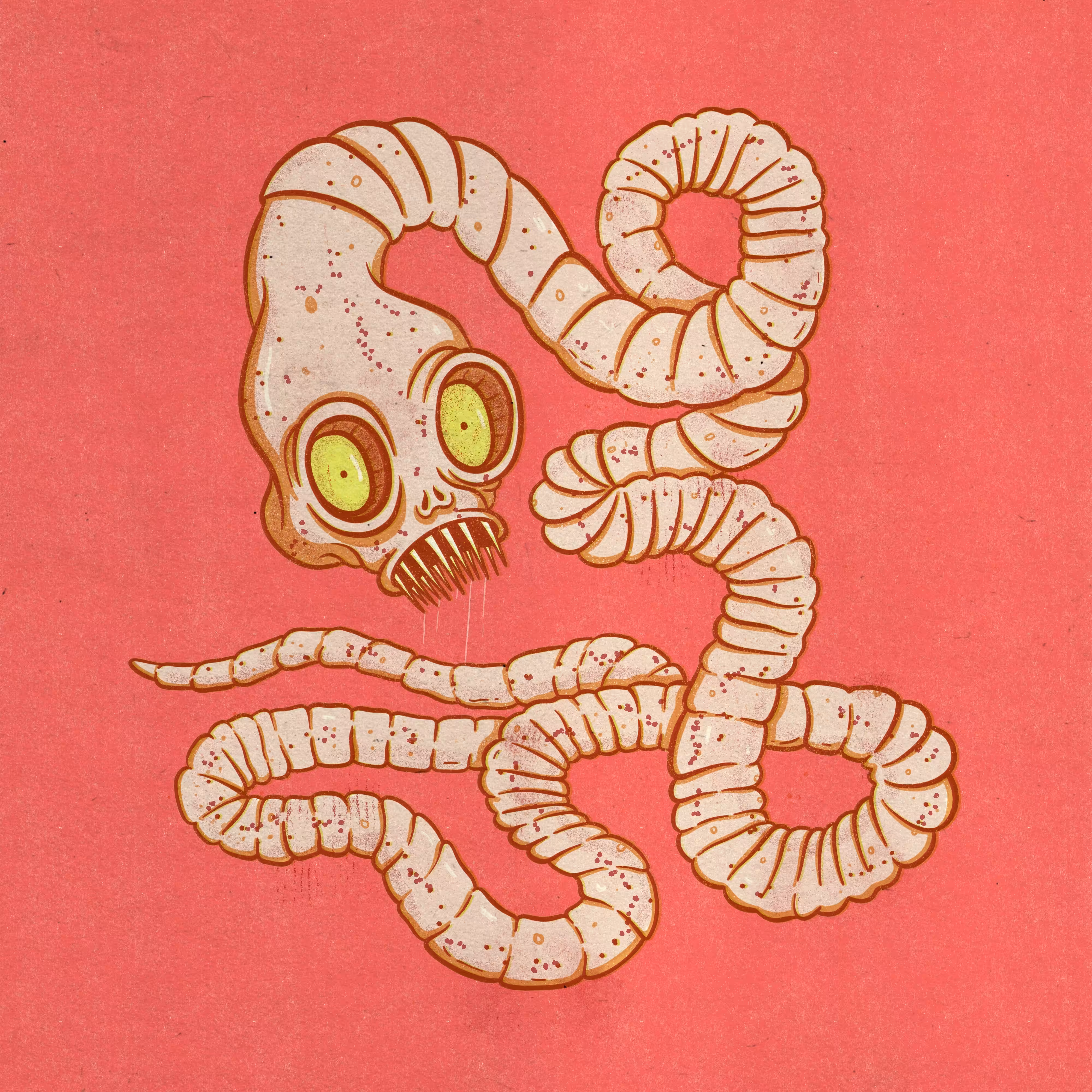Timmy the Tapeworm