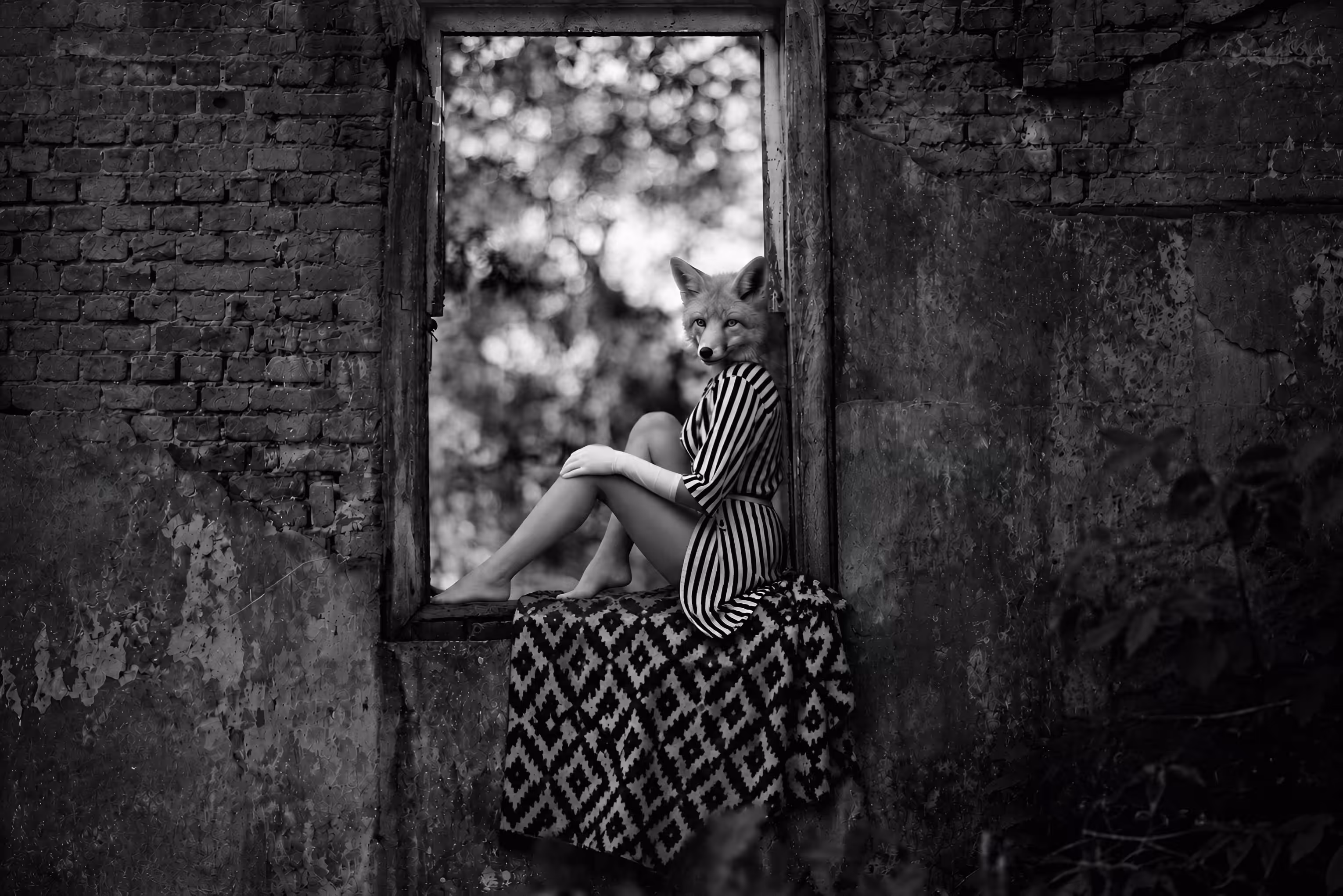 Window Narrow 