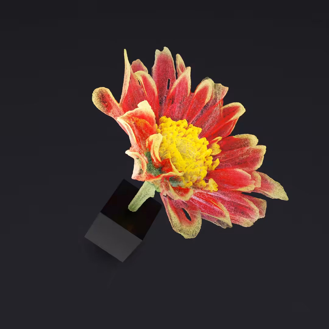 Just a flower IX