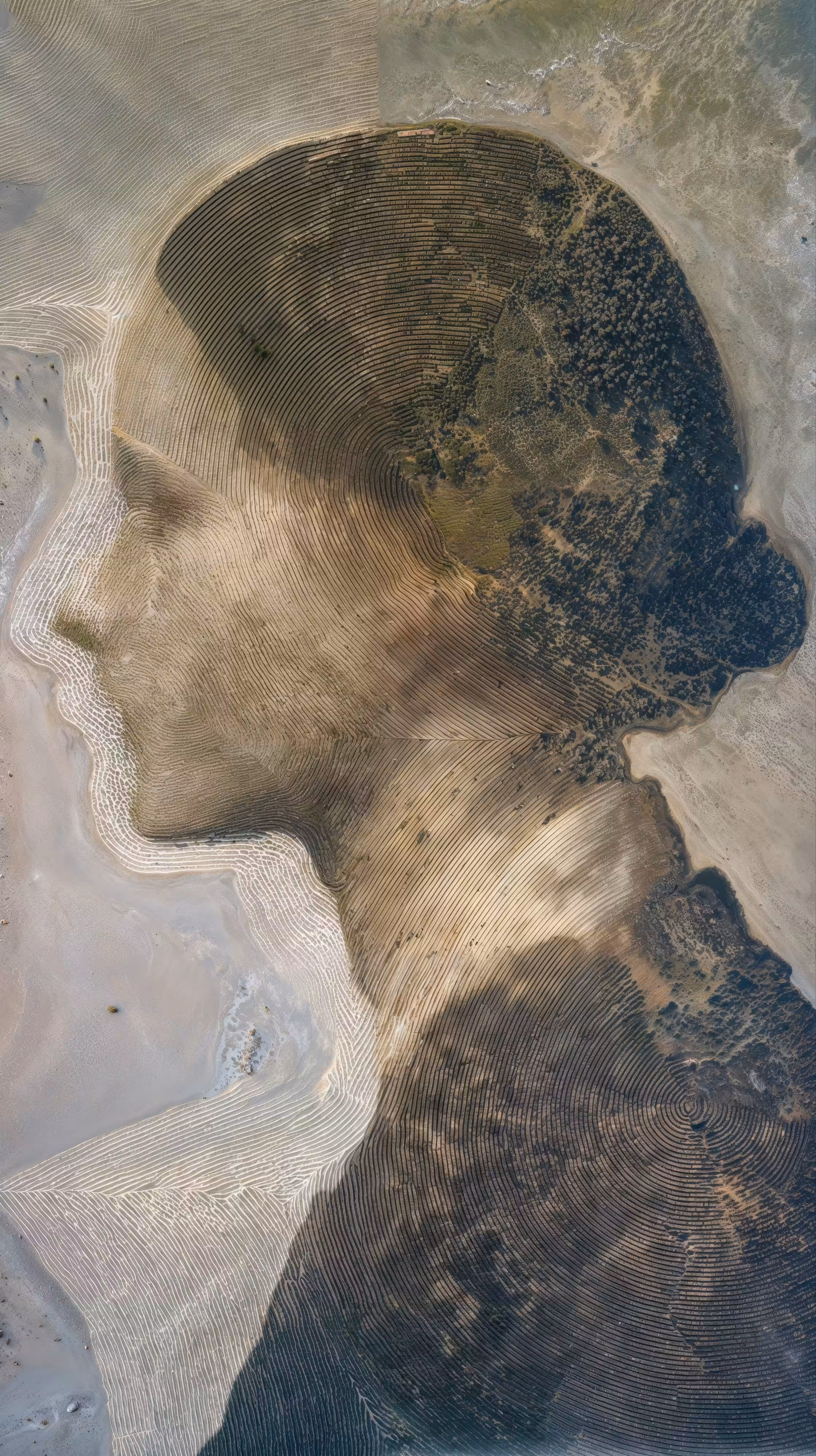 Sleeping Earth