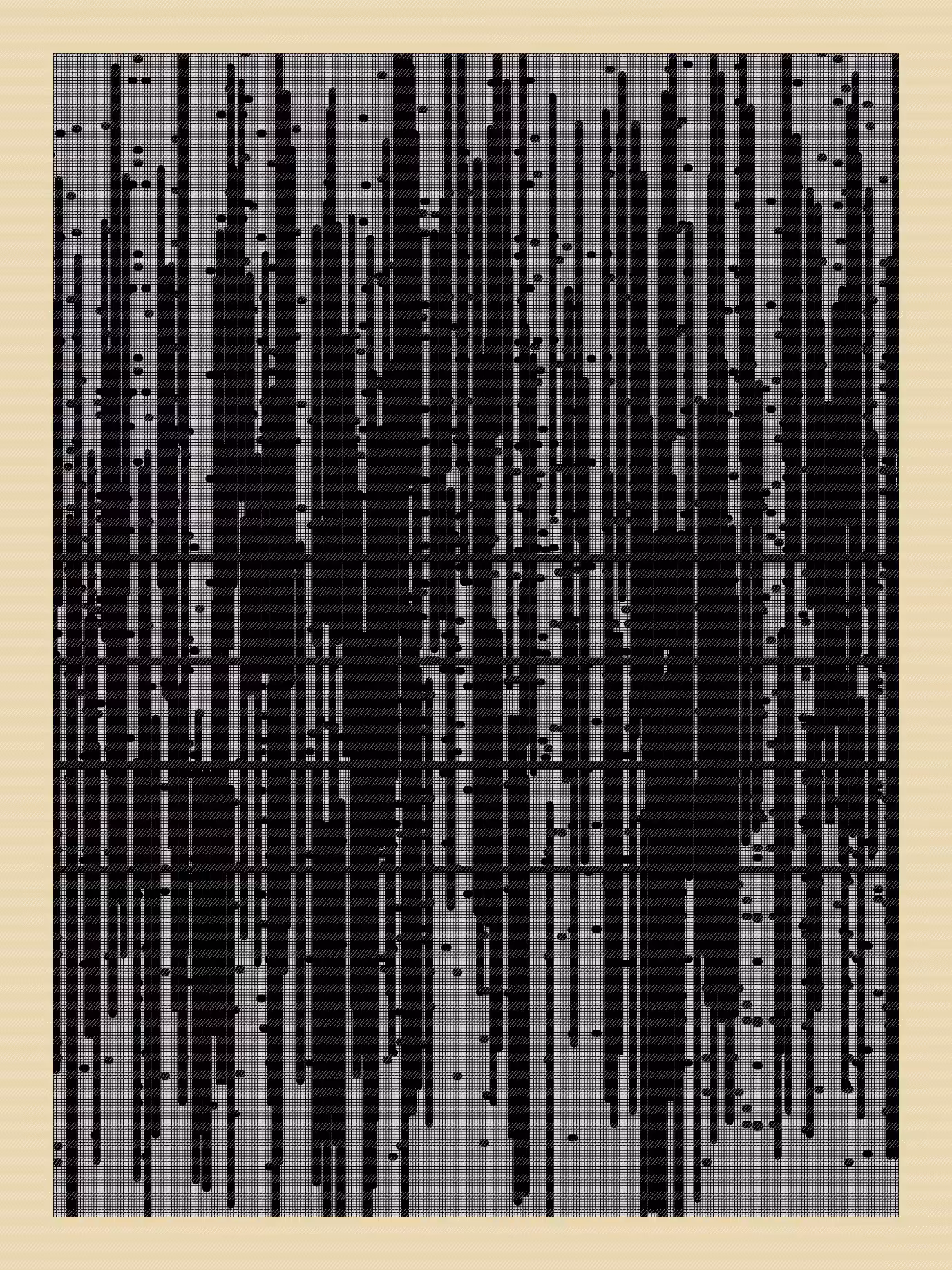 N01ZE GR1D #214