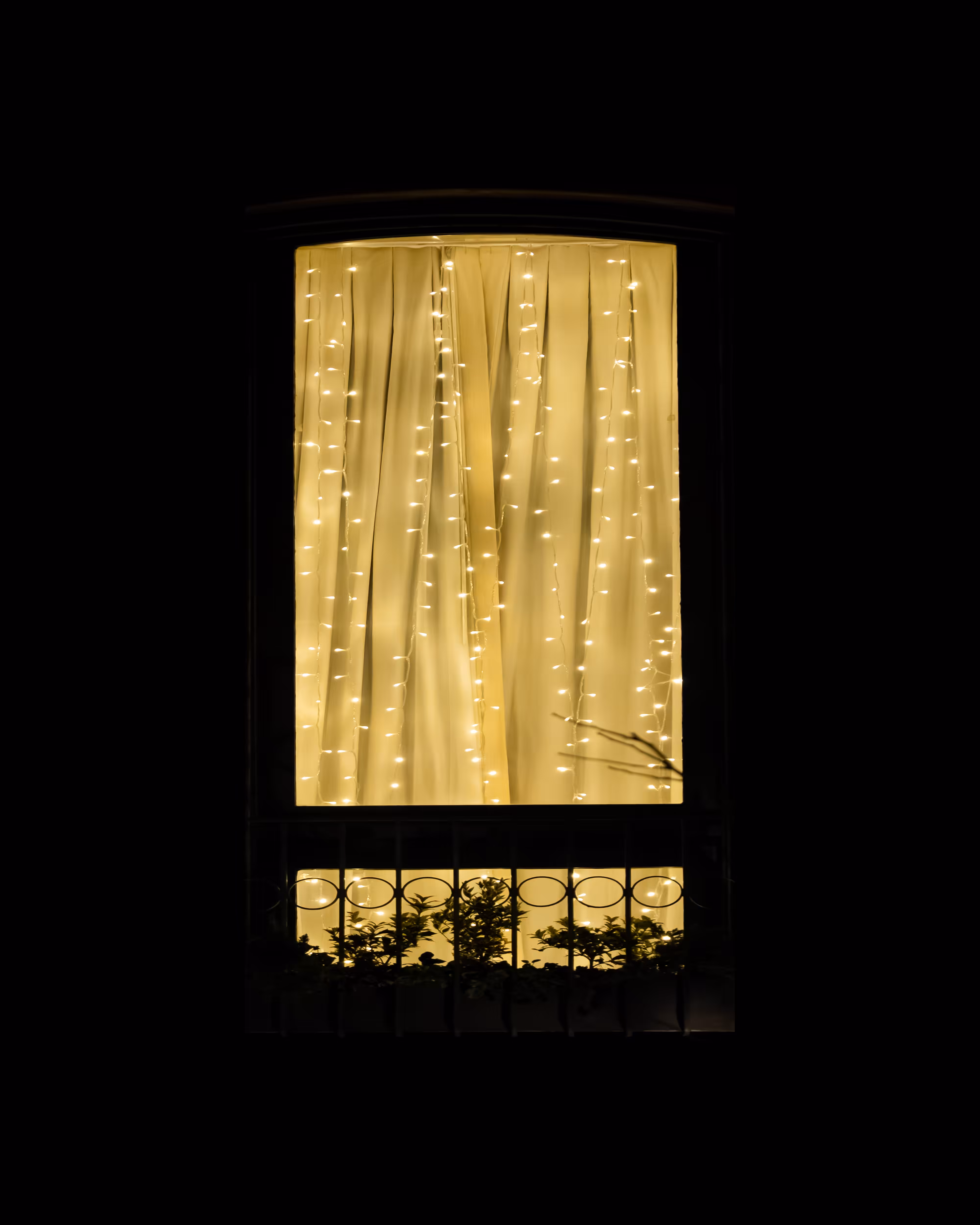 WINDOW 725