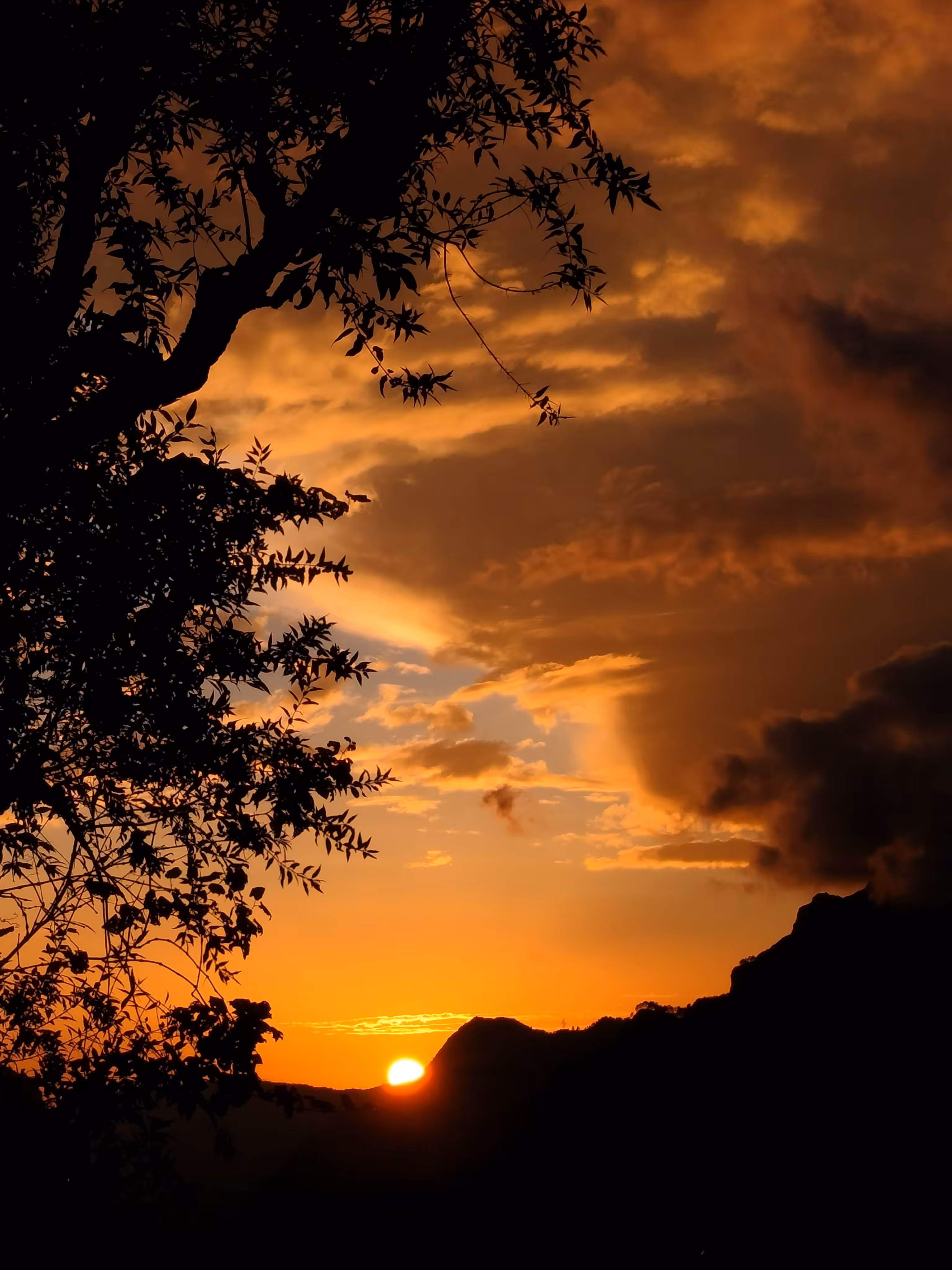 Golden Solitude