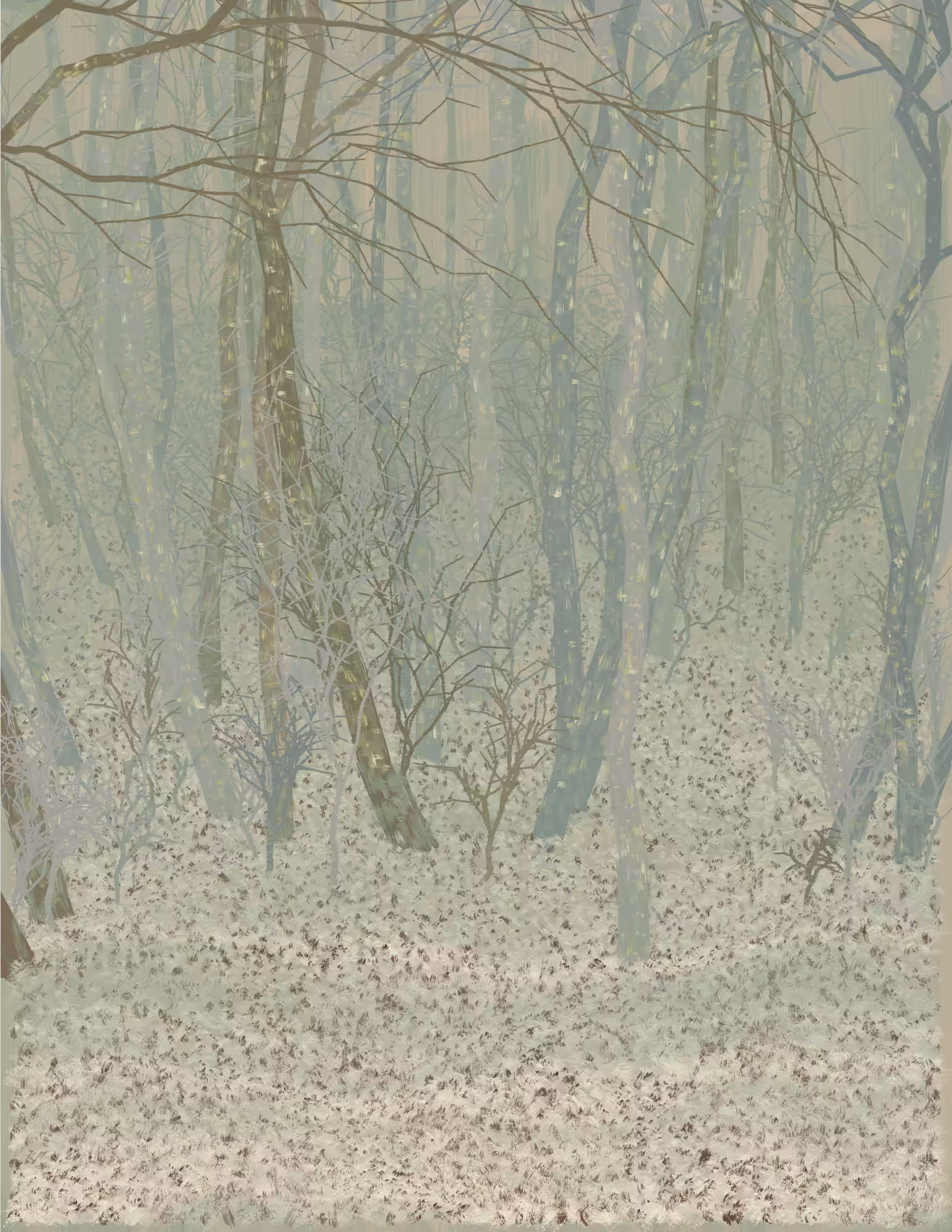 Deep Forest #165