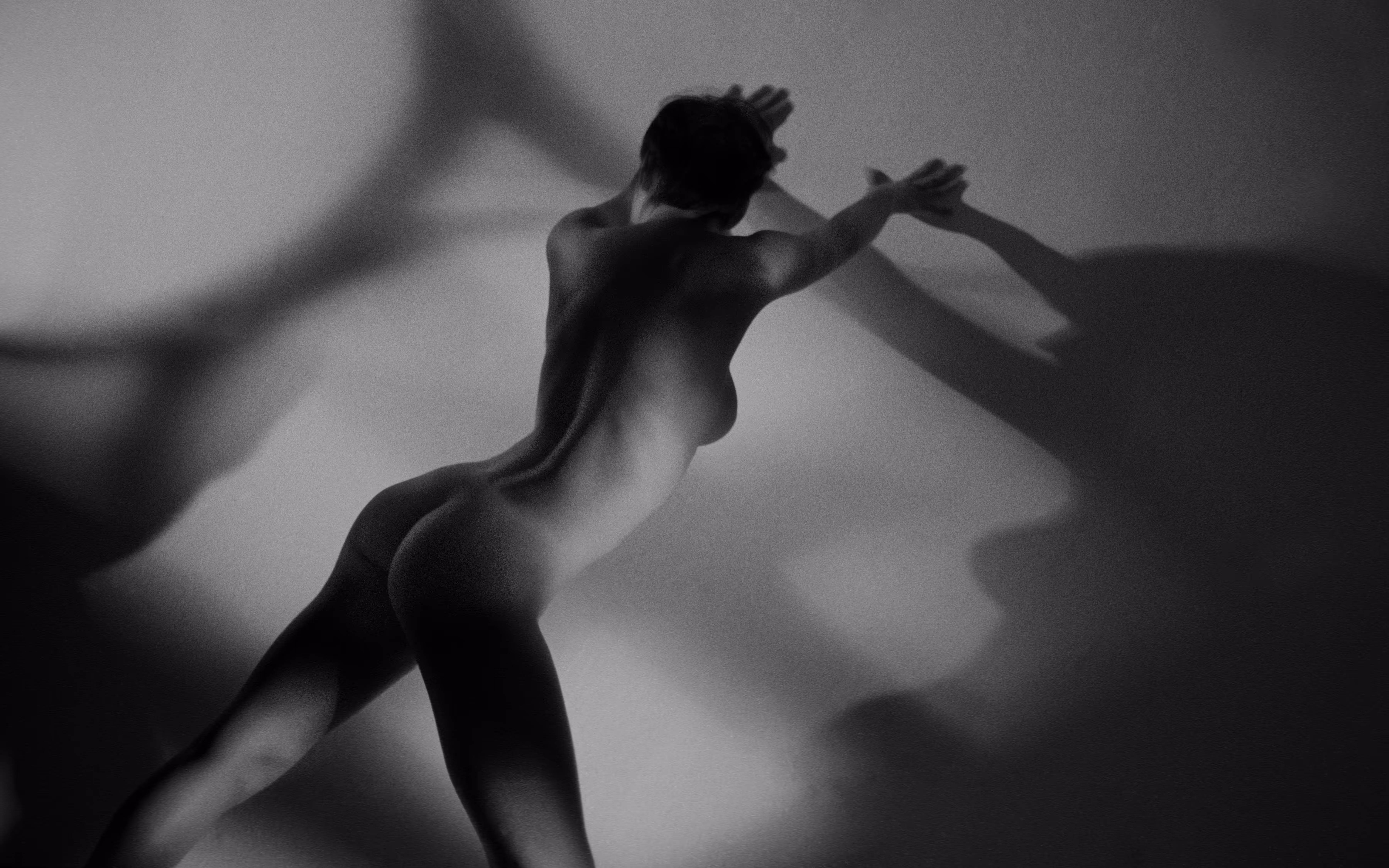 FineArtKrypto_Torso#2-The_Wall