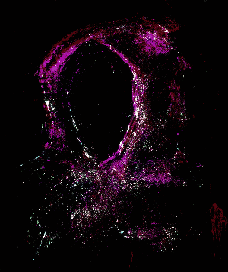 digital: Disregarded
