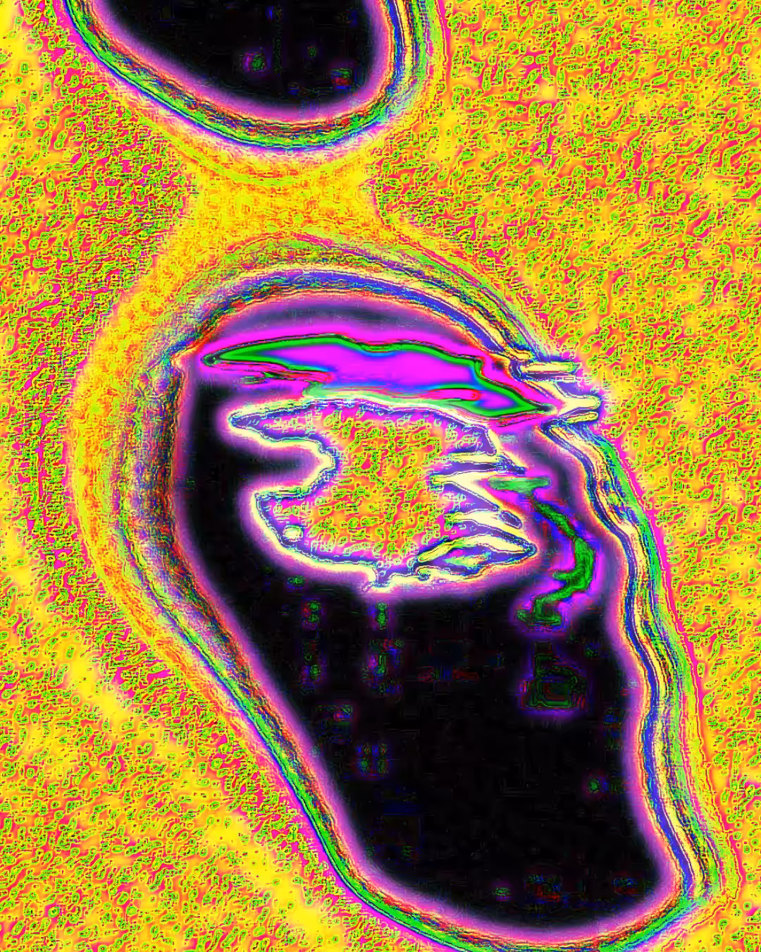 UNICELLULAR ORGANISM 02