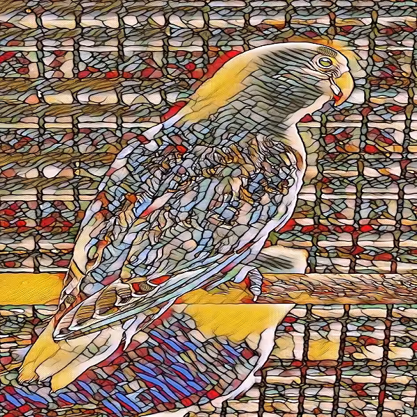 Animal_Art #4