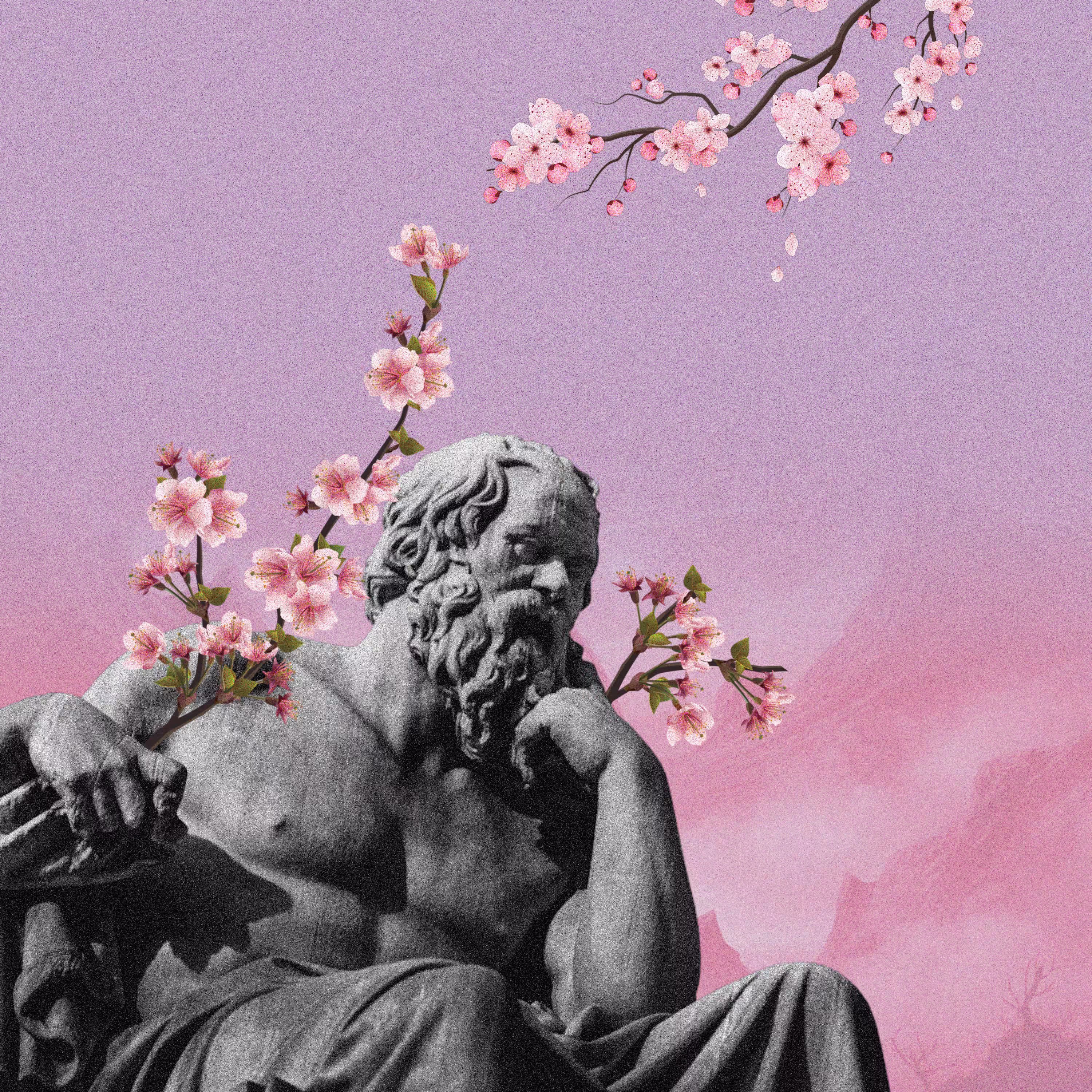 Platonic Sakura