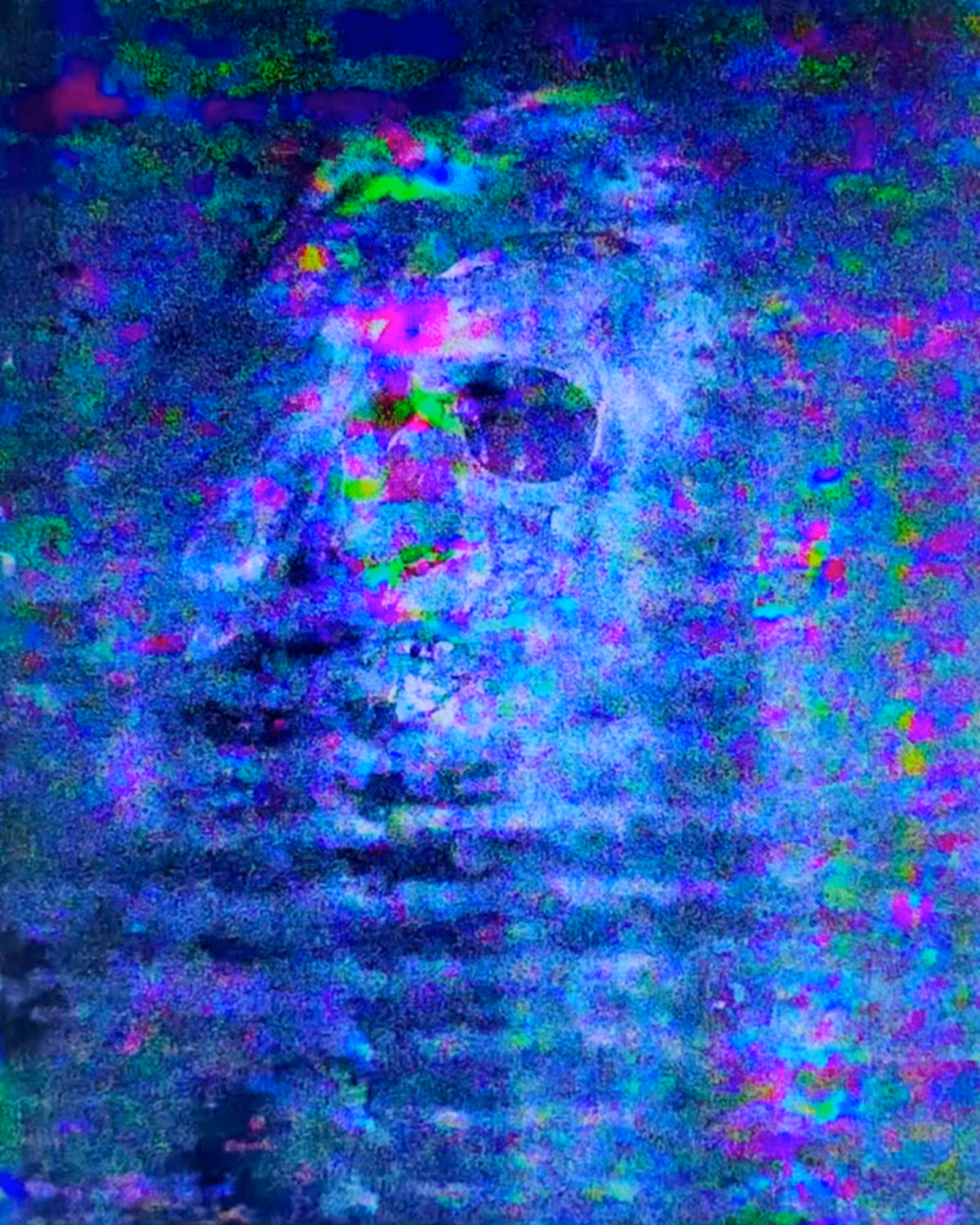 SS01-01