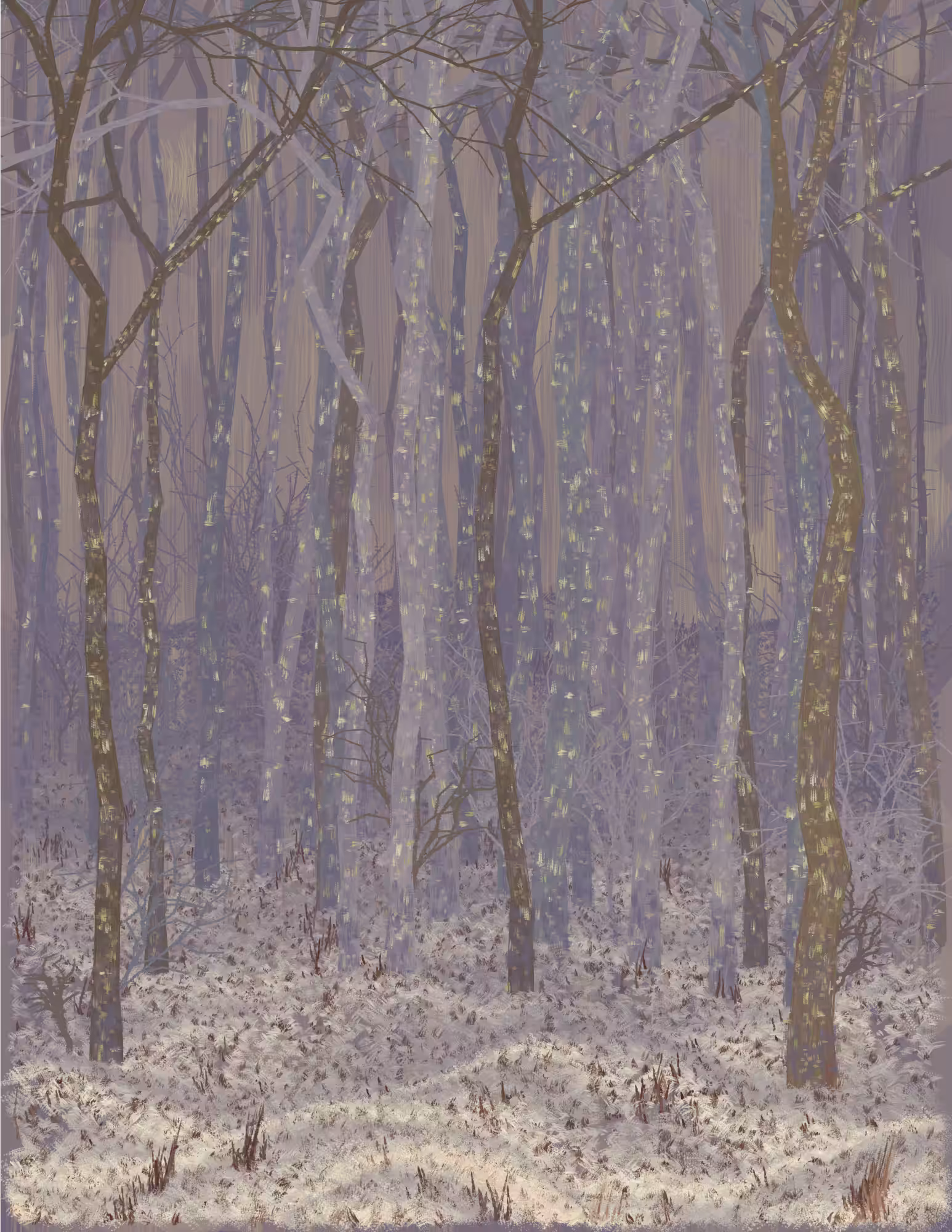 Deep Forest #192