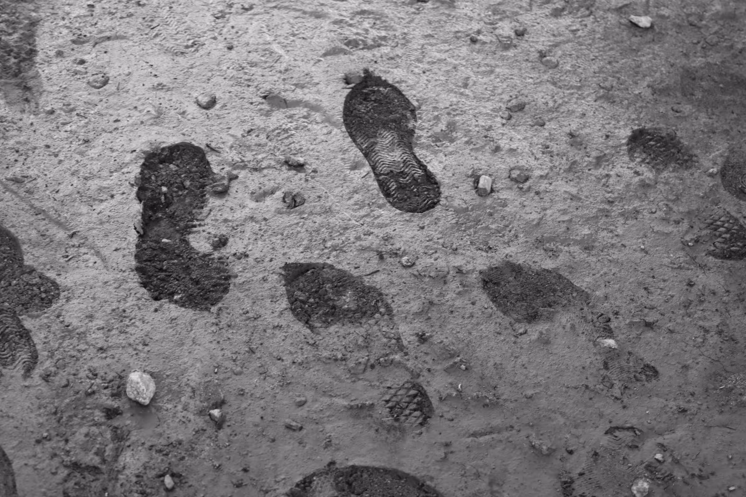 Some steps in the mud or some mud in your steps ?