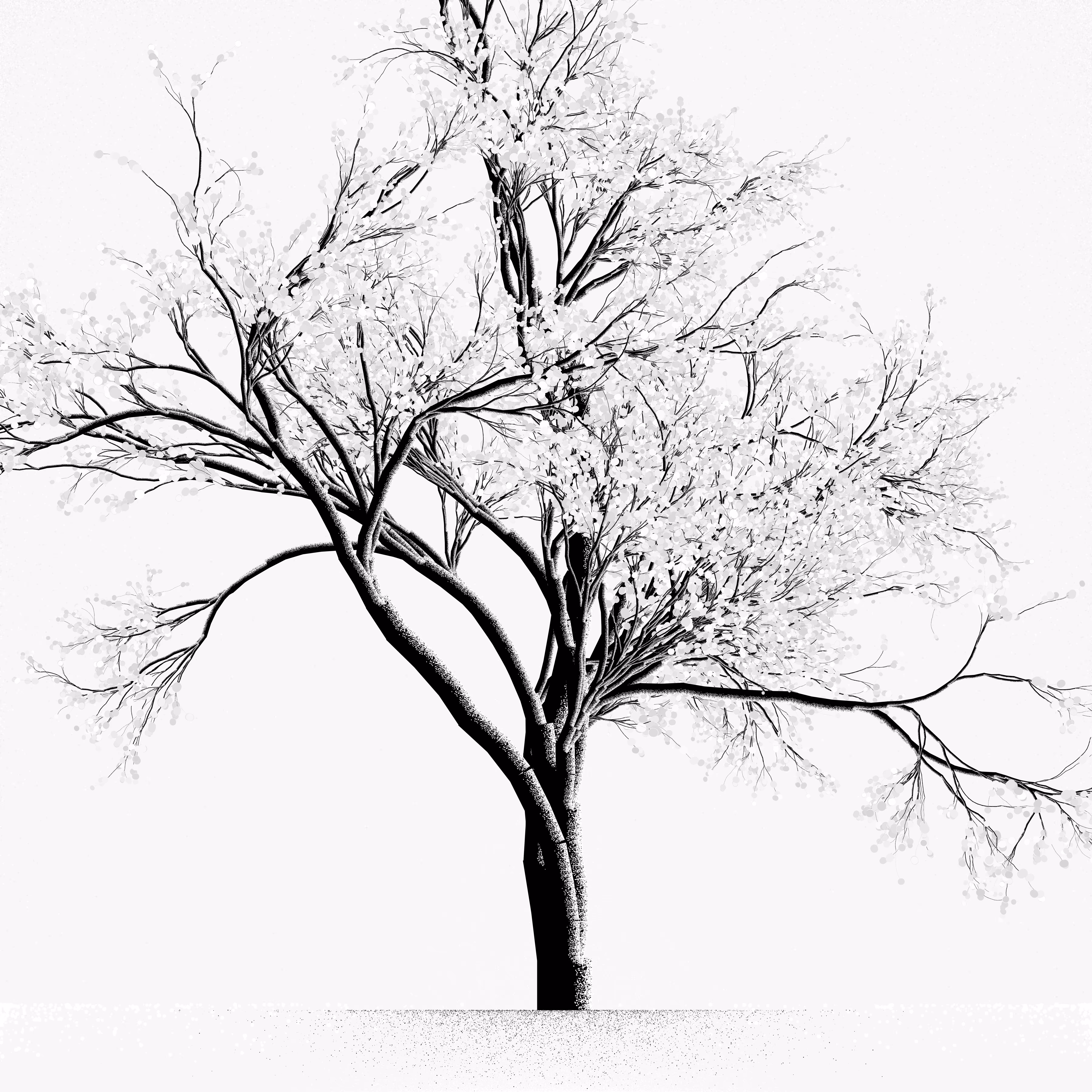 Snow Tree #15
