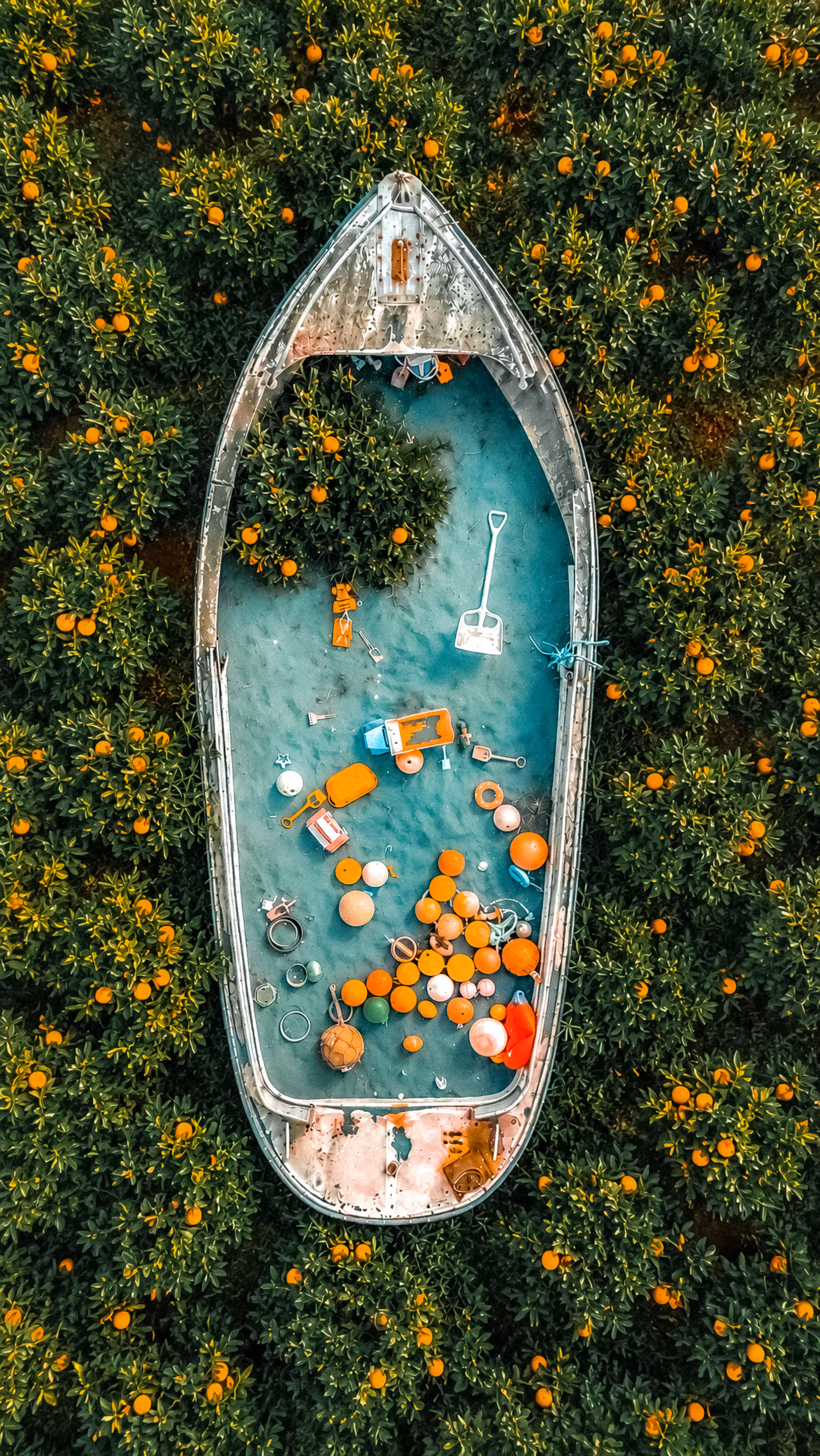 Ship Rekt: Sweet Ship Rekt Oranges