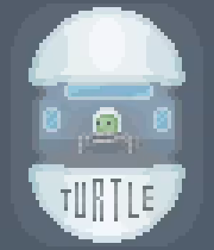 TURTLE 'TECHNO-HEAD'