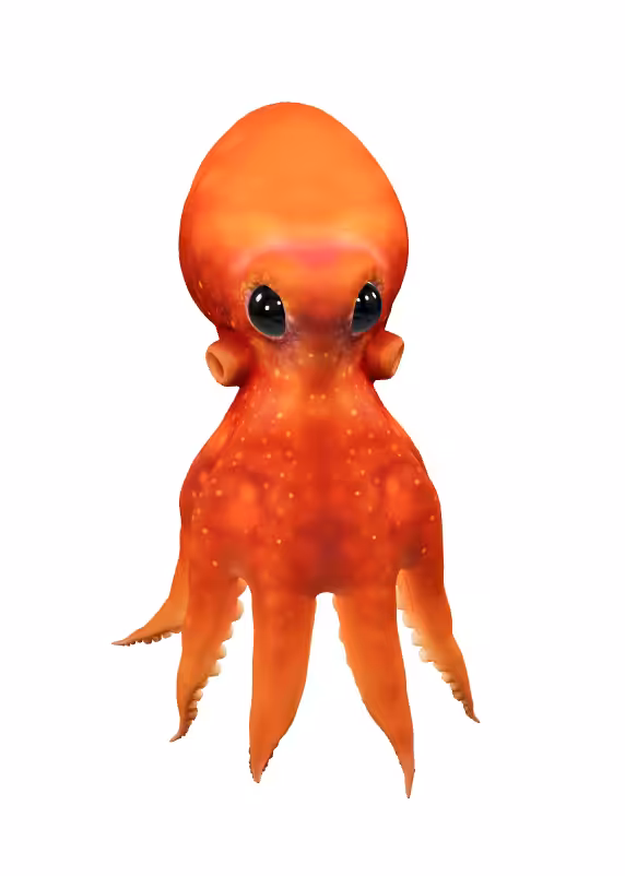 Mr. cephalo