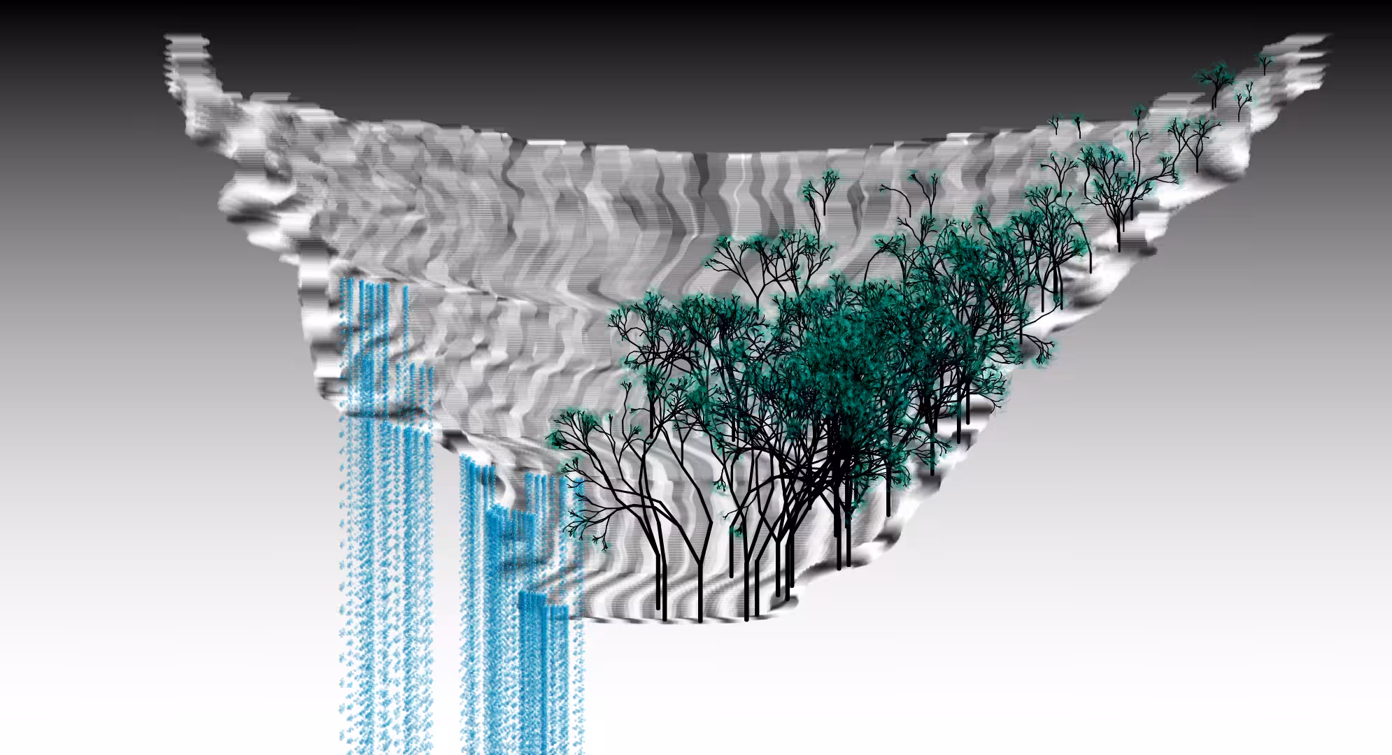 Flow and Flora #12