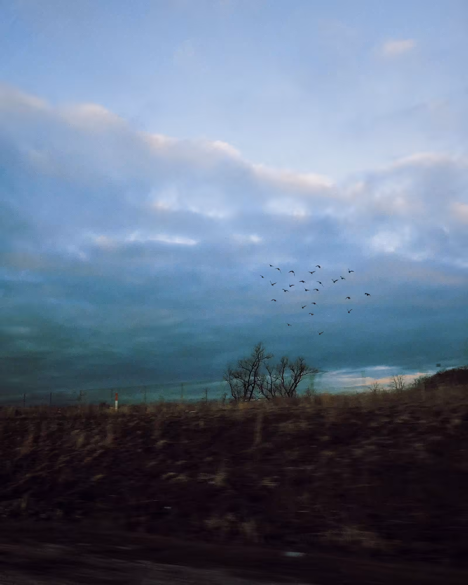 Into The Unknown