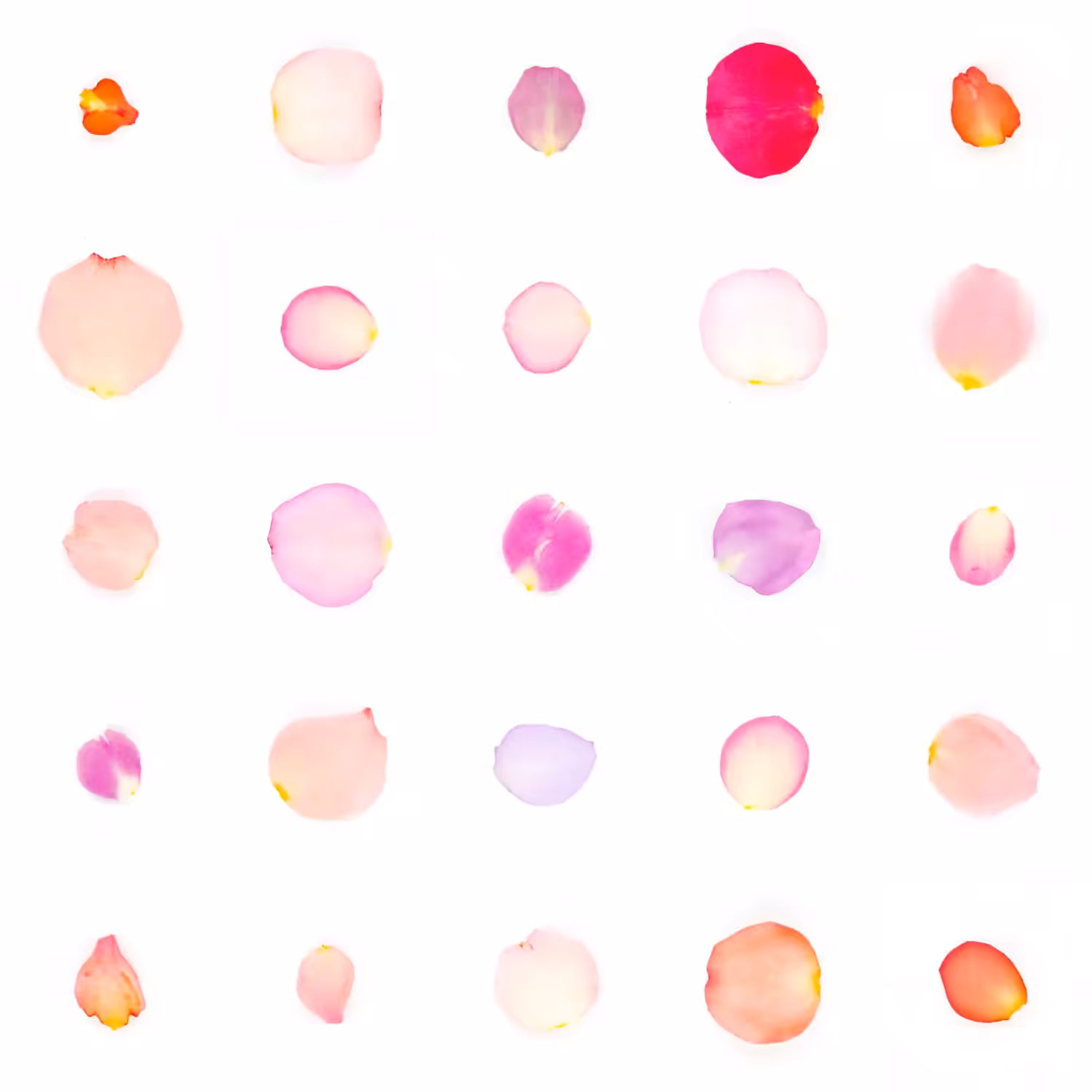 Infinite Petals 5x5#2755