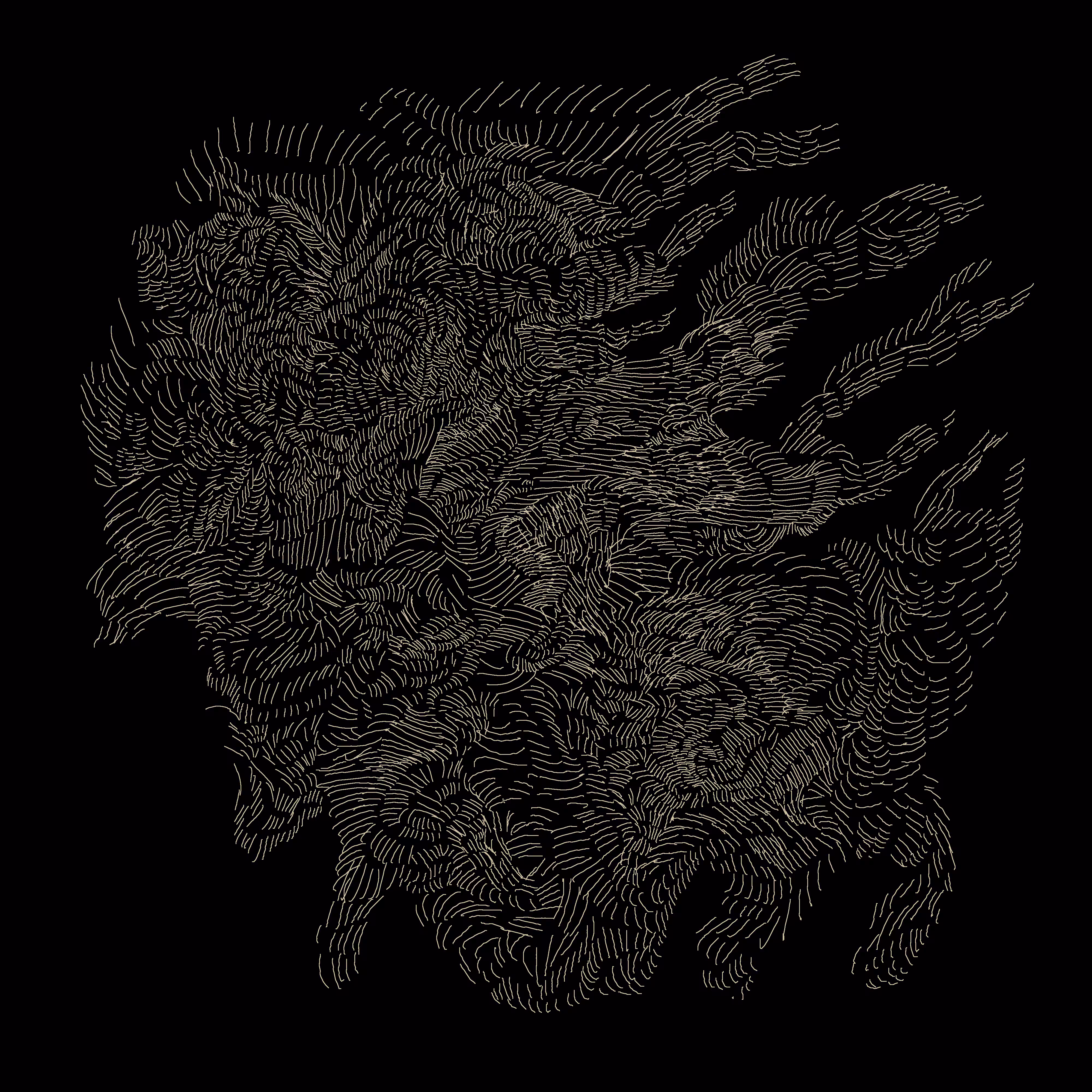 nest #01