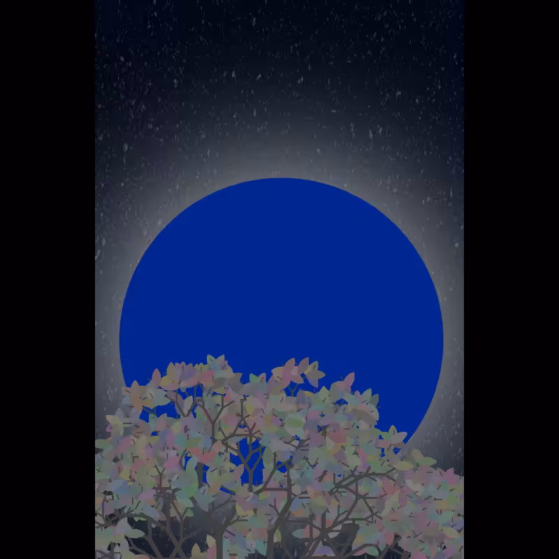 Moonlight Sonata #135