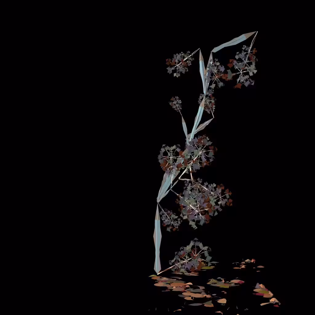 Prism_Rec FLWR8