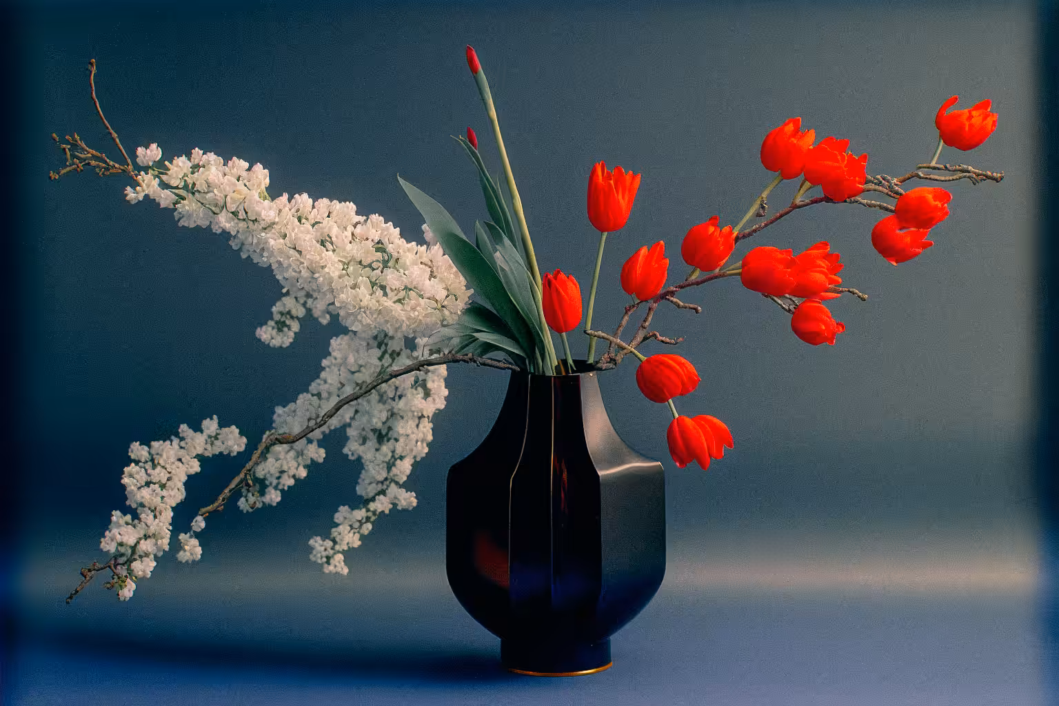 Tulip and Andromeda, C-41, 1980