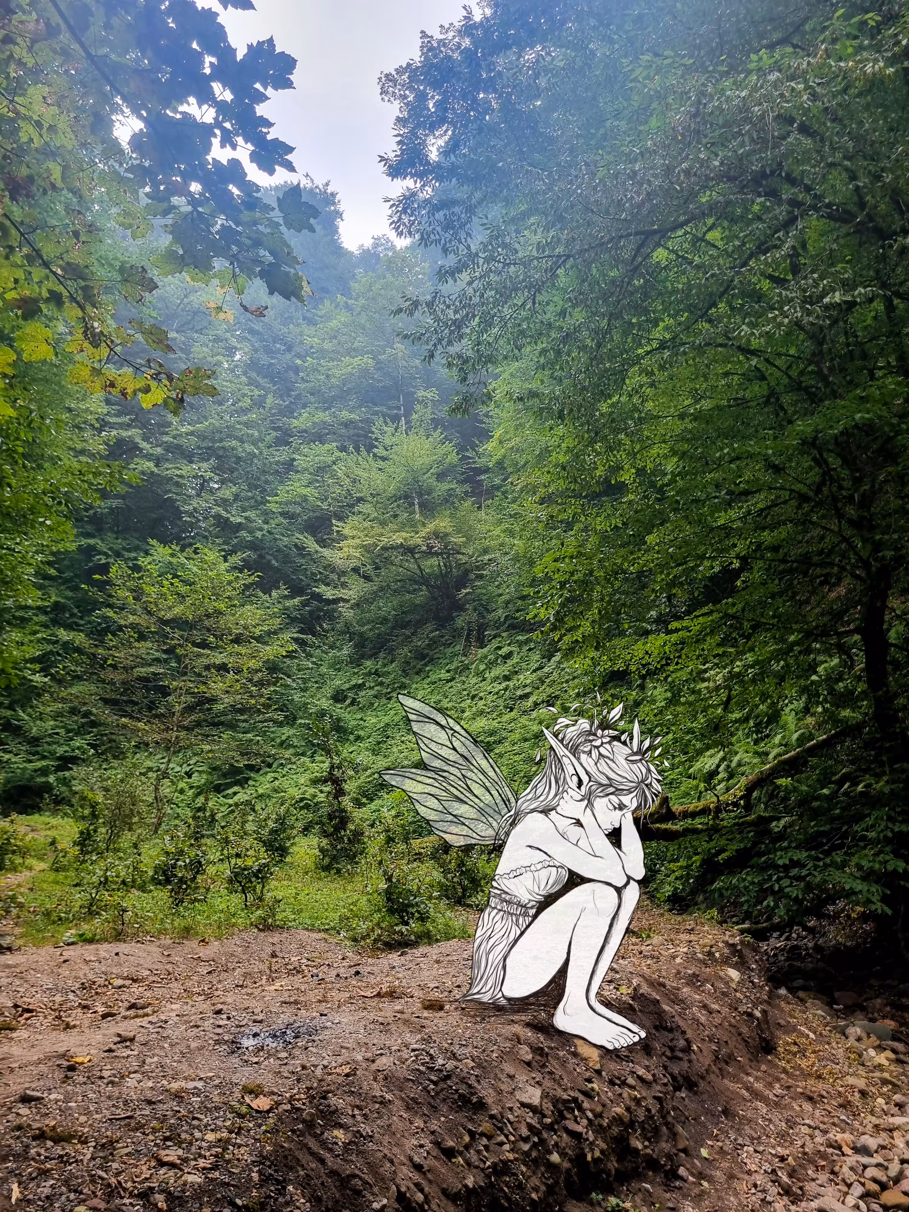 Forest fairy 🧚‍♀️ 