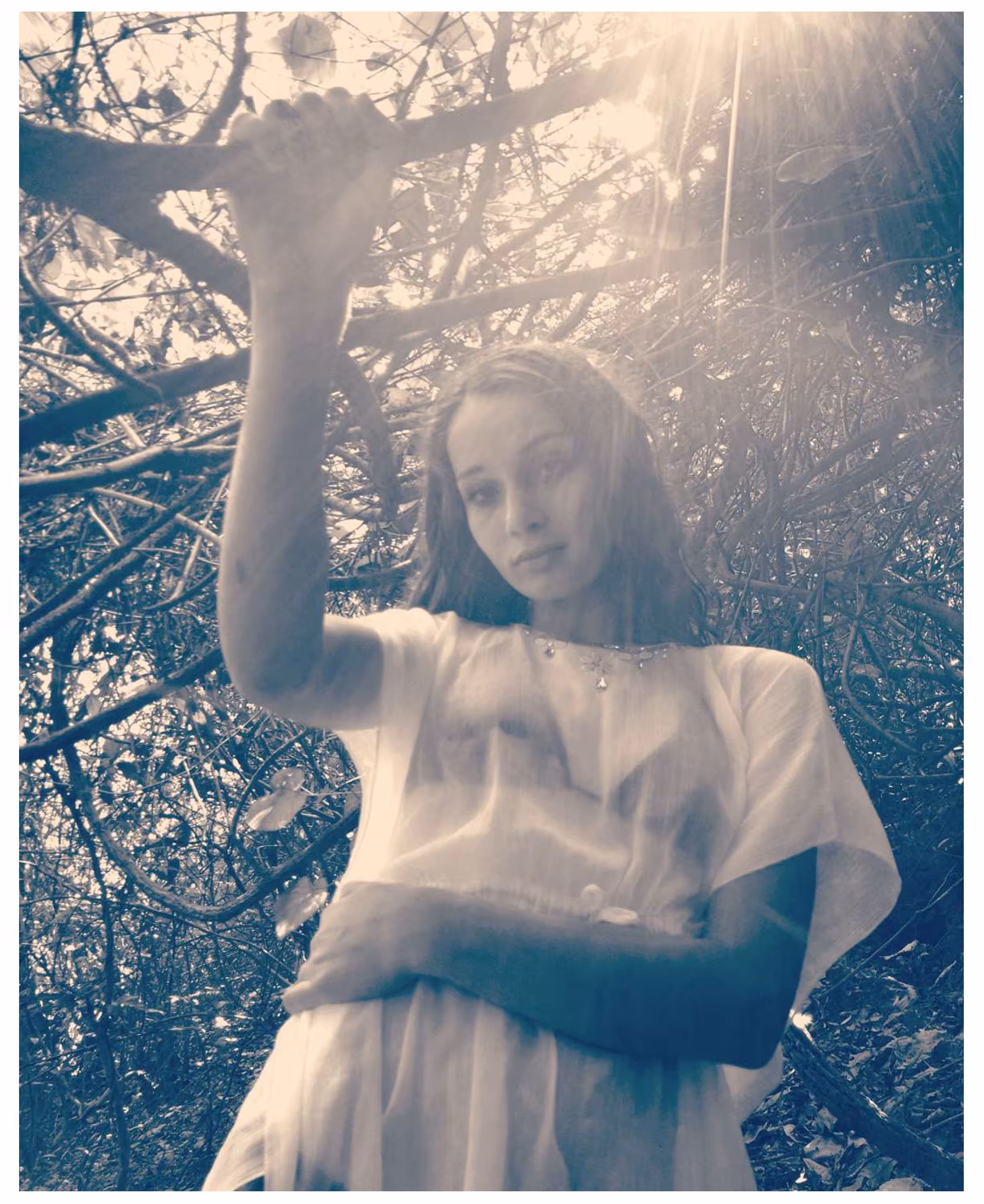 Lily of the wild - Affection