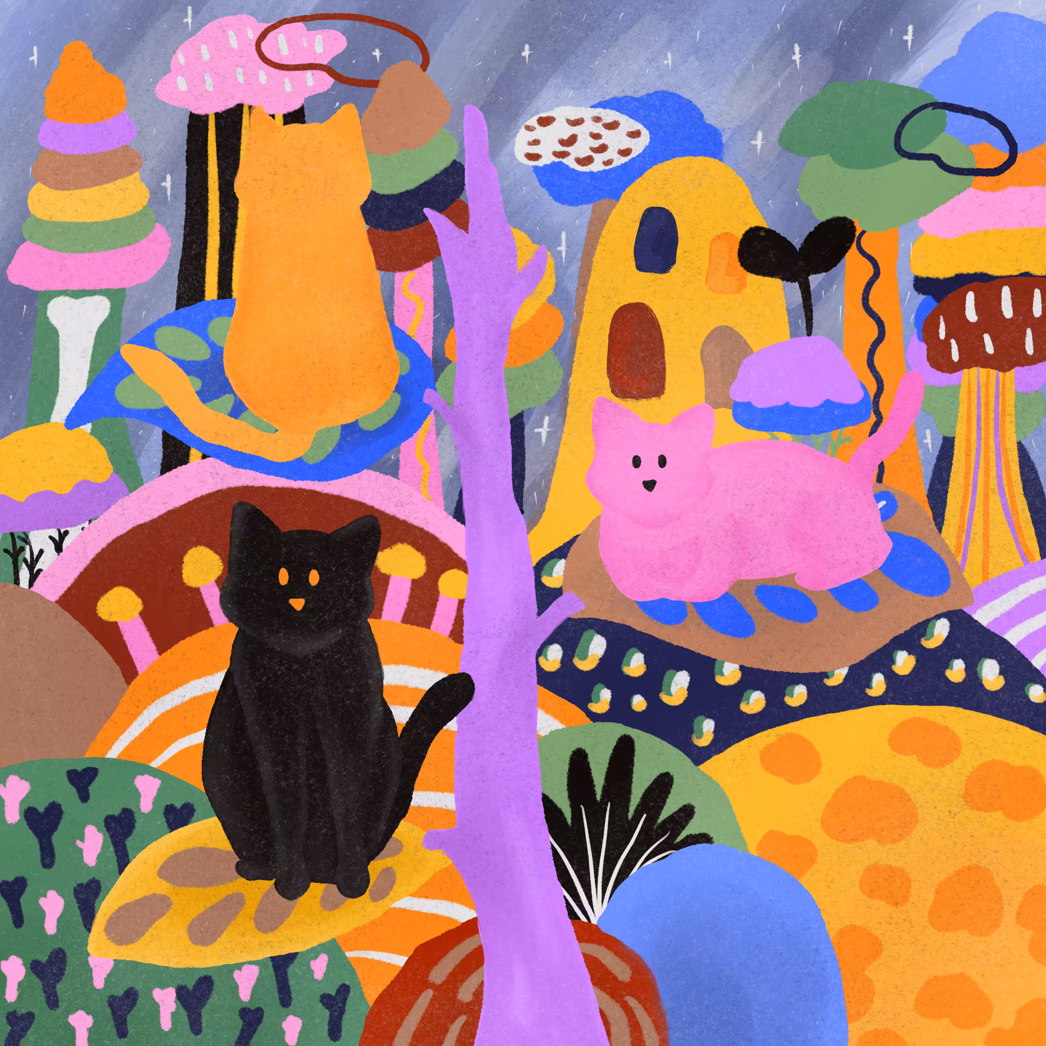 WONDER CATS