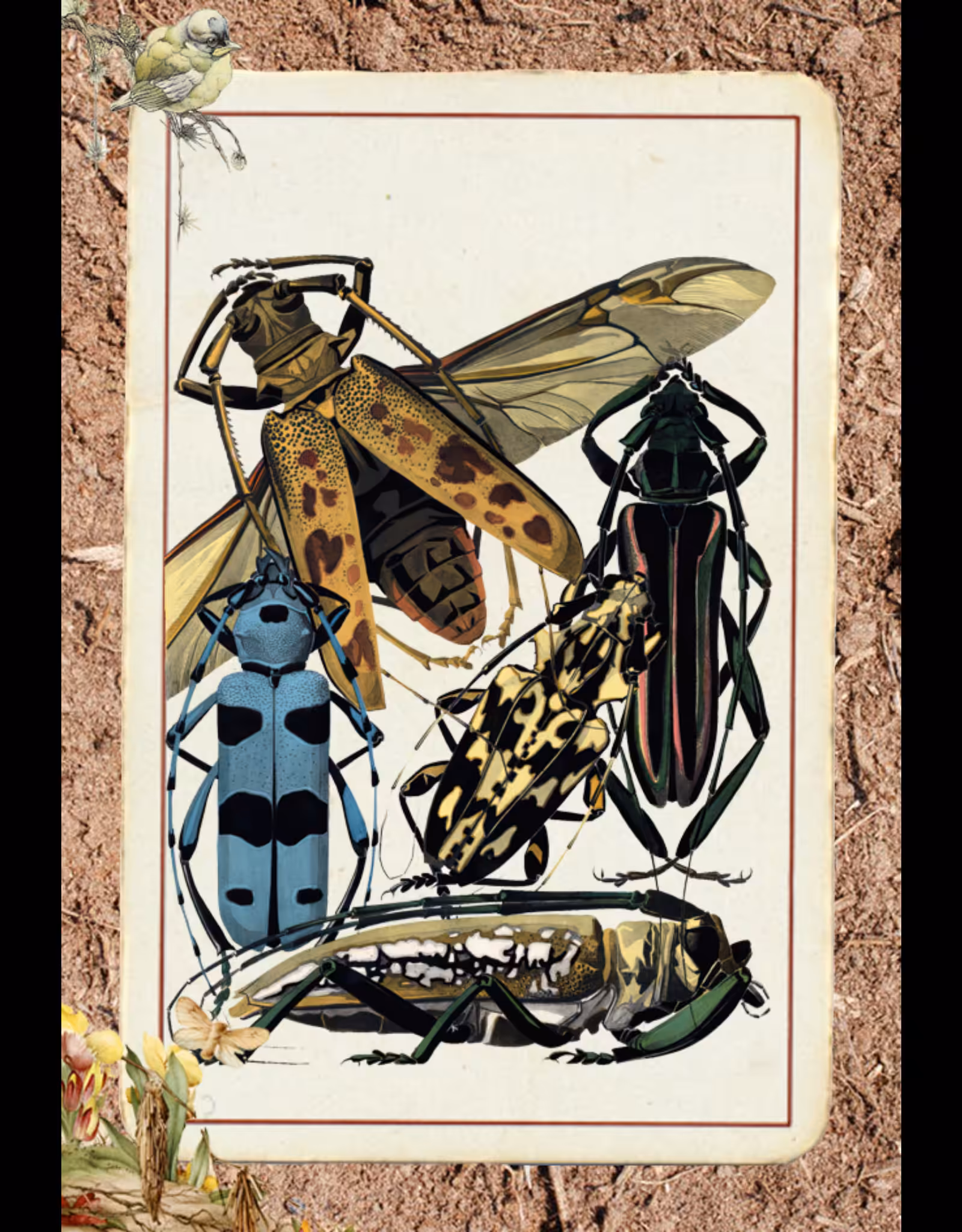 Paper Bugs #7