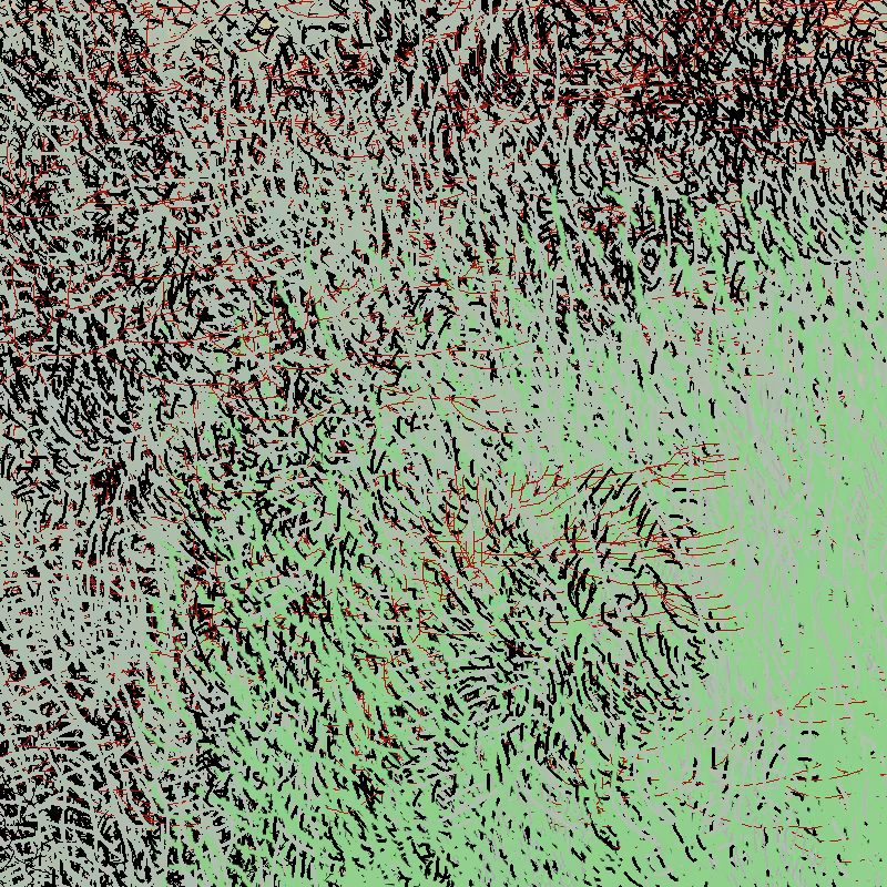 a bird worked on my painting #6