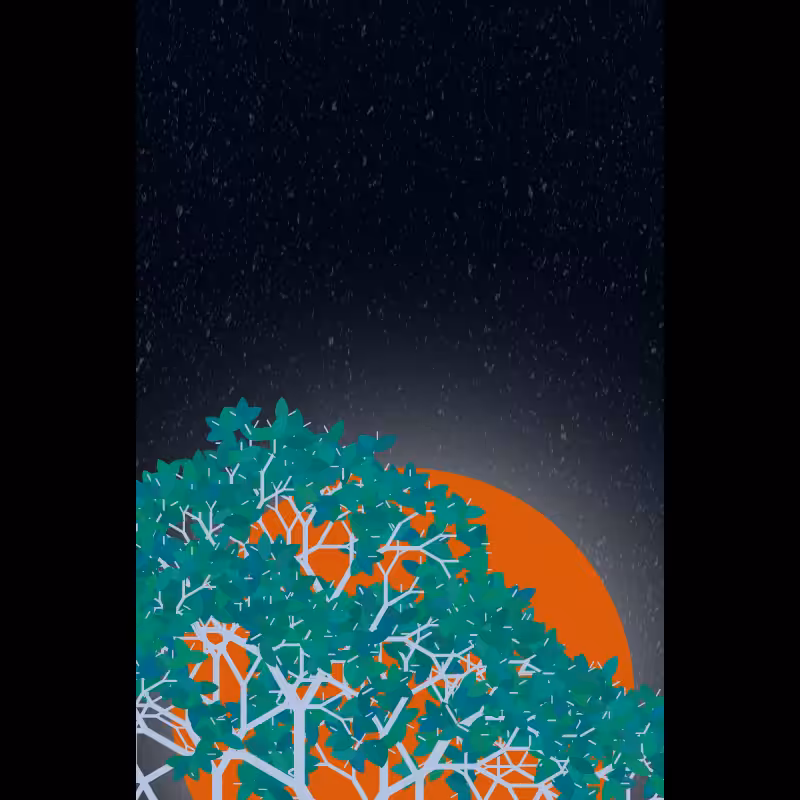 Moonlight Sonata #58