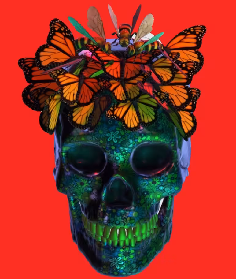Night skull
