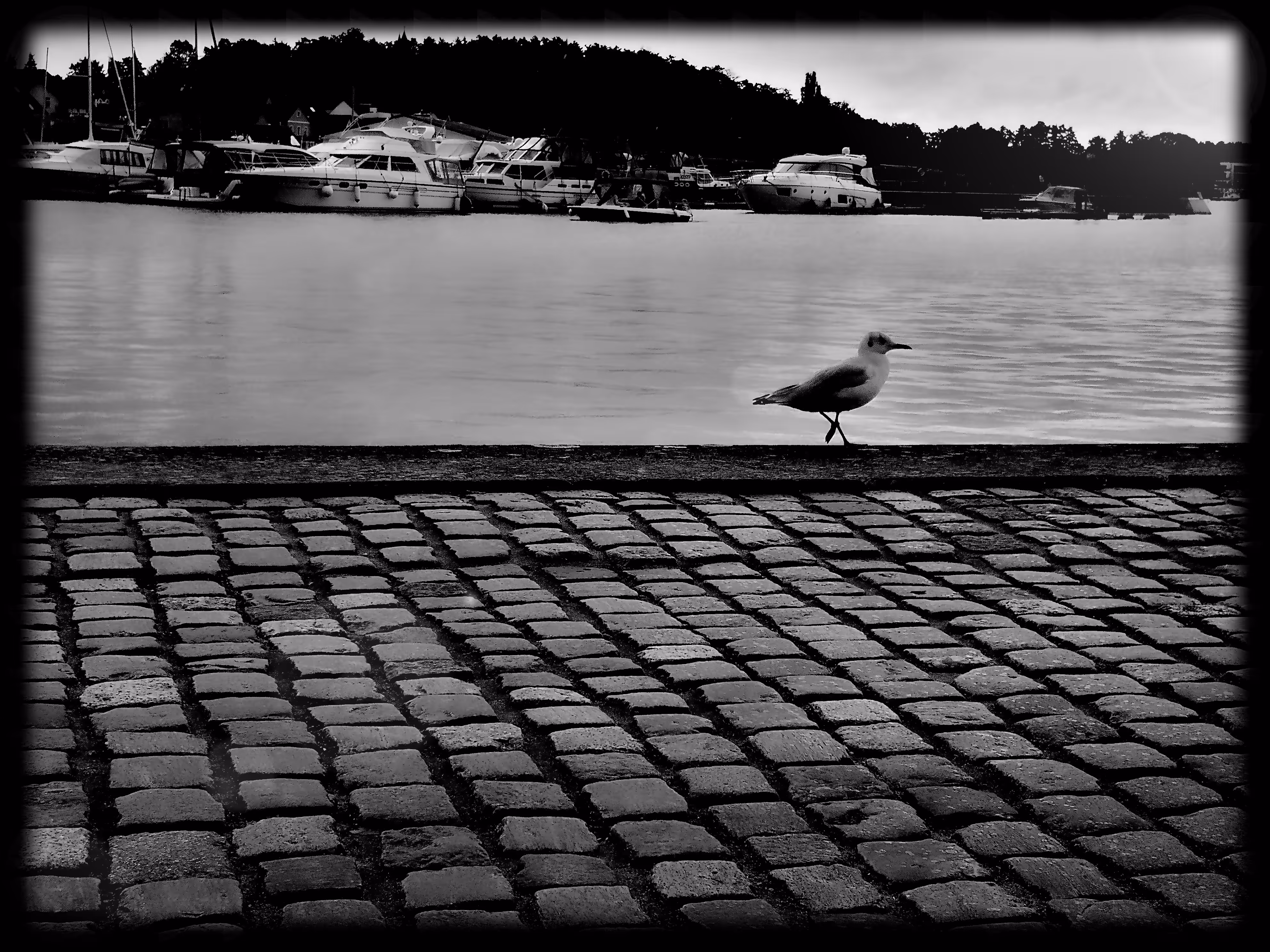 Enjoy Yourself