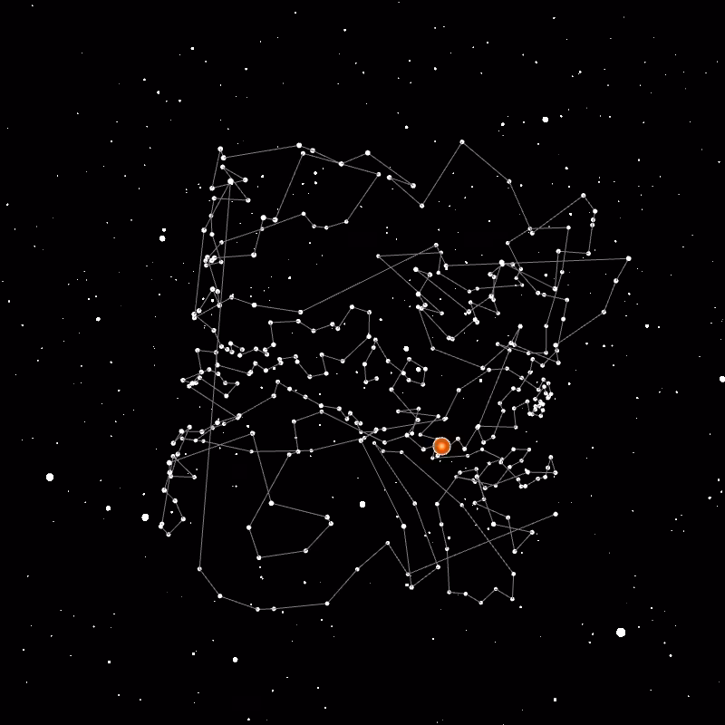 Wallet Constellation - 8