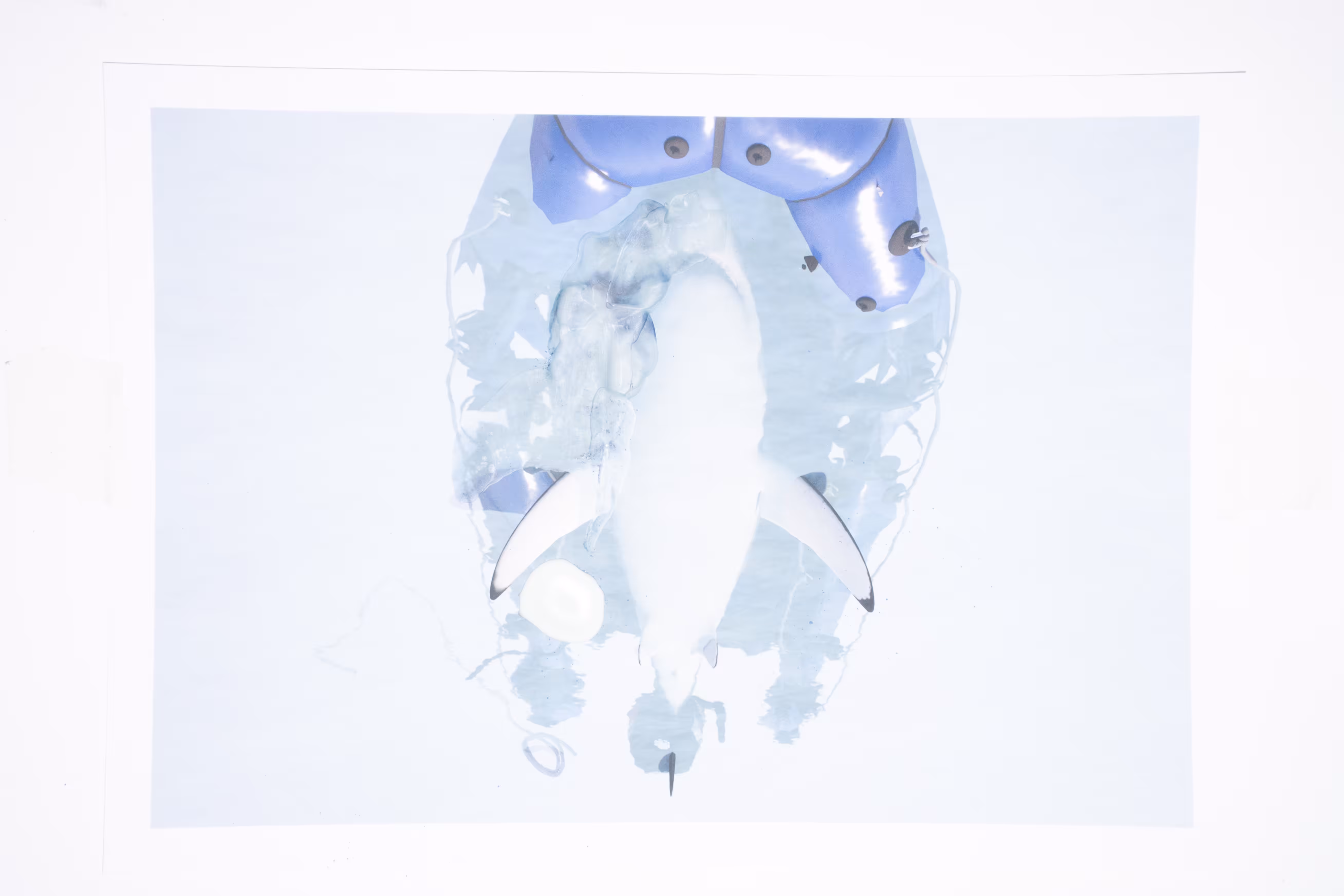 RESCUE, Distortions, #4_2