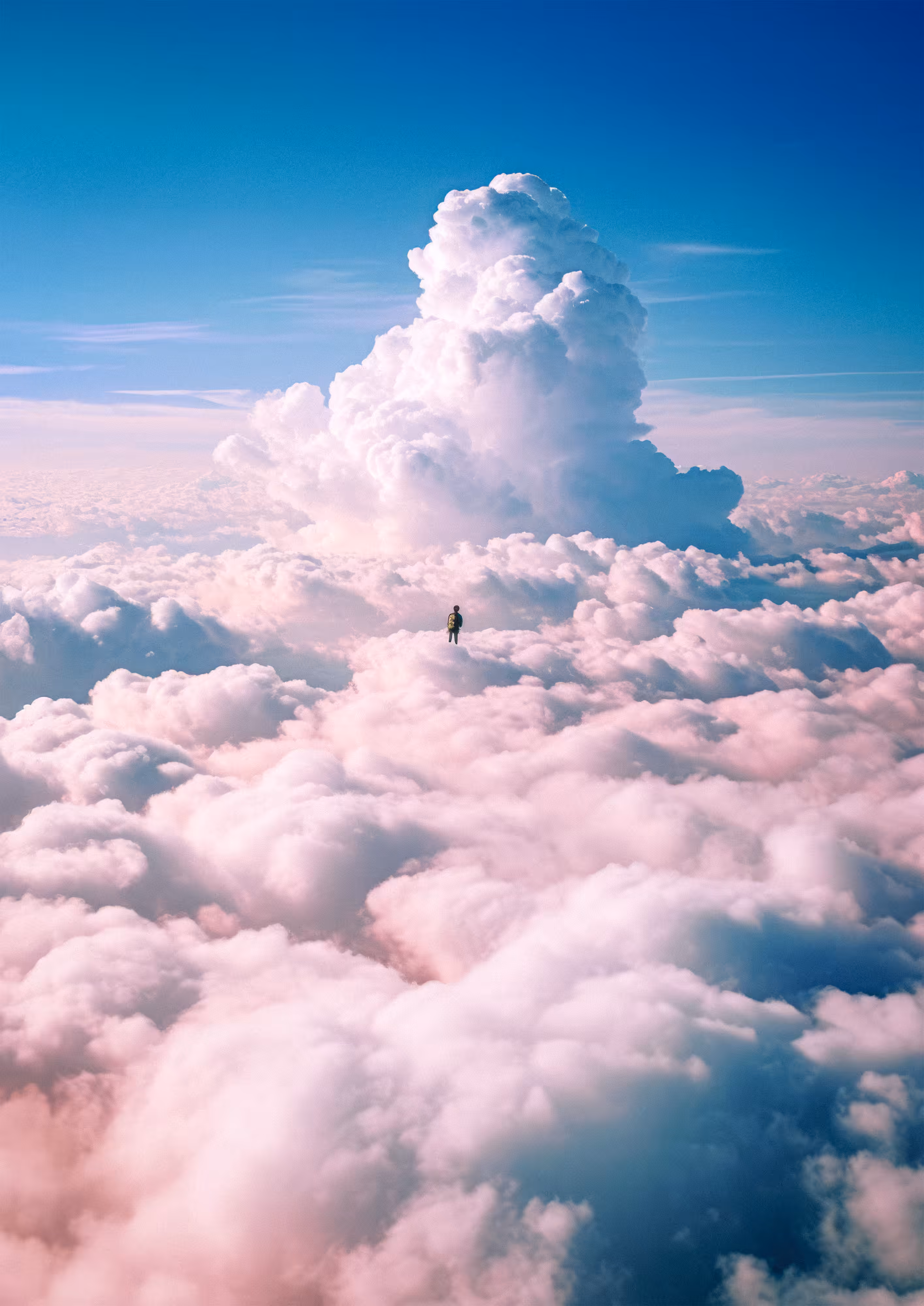 Lonely on top