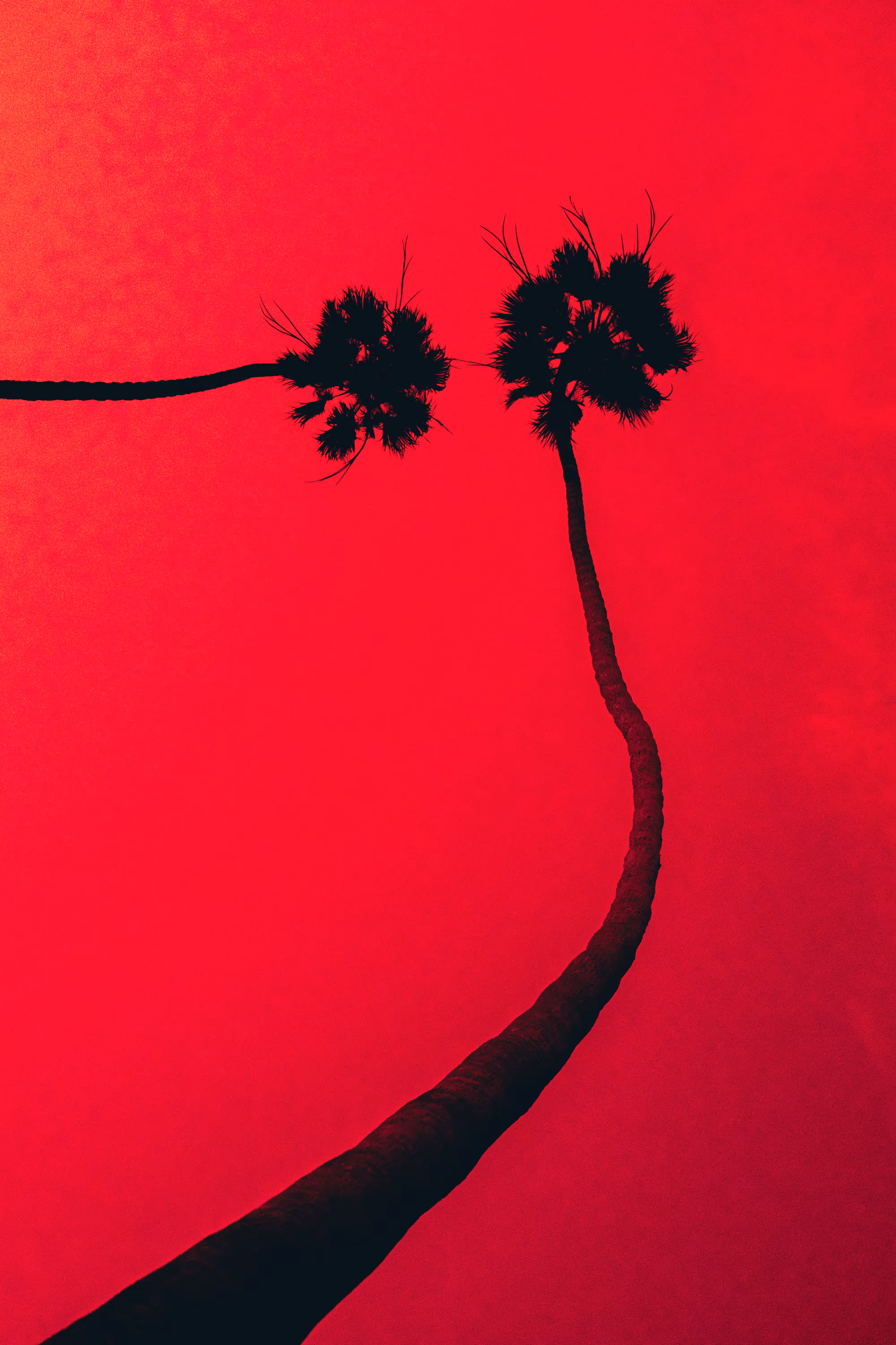 Somewhere Else: 007 - "<3"