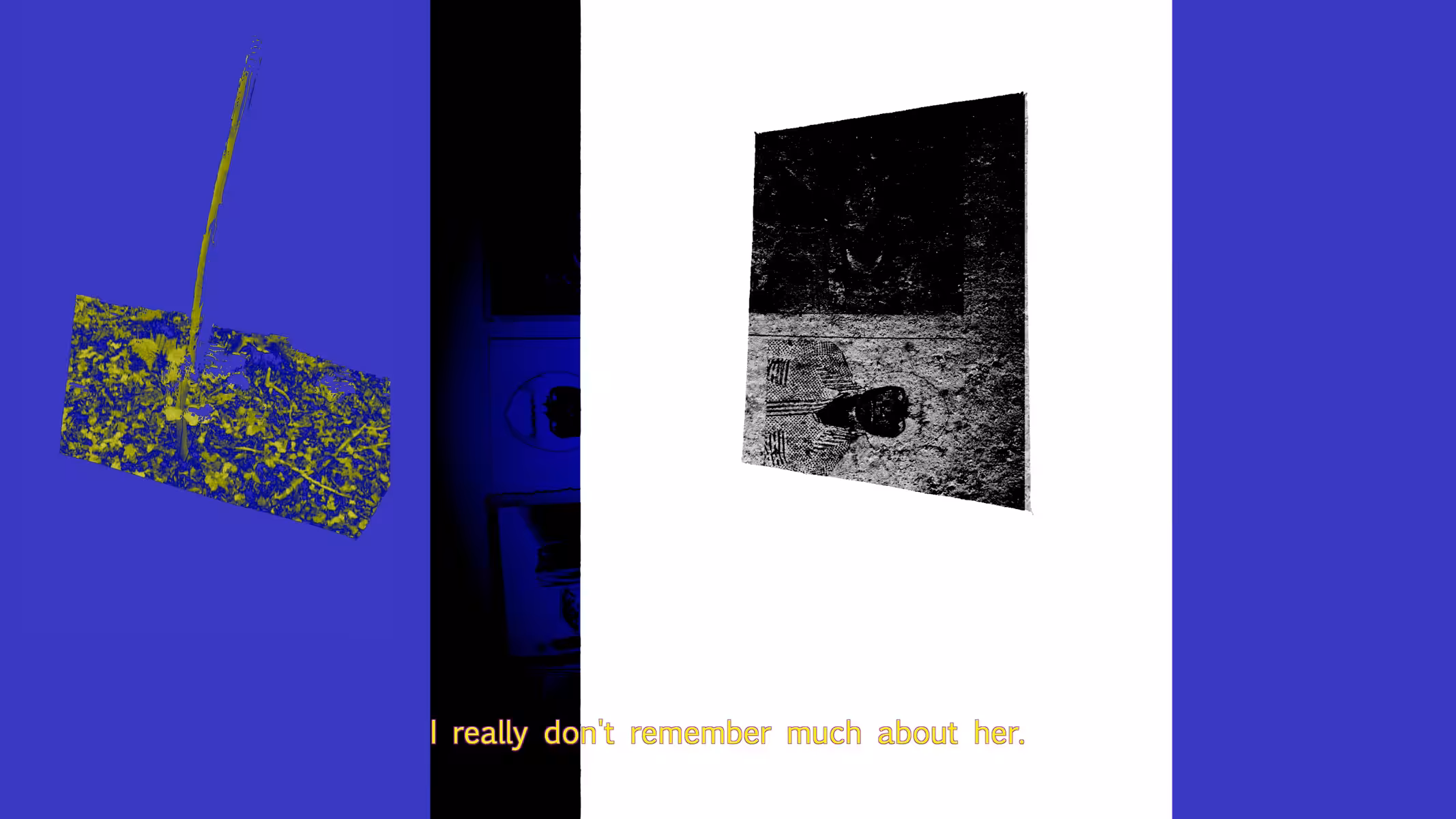 I don't remember much about her | redux