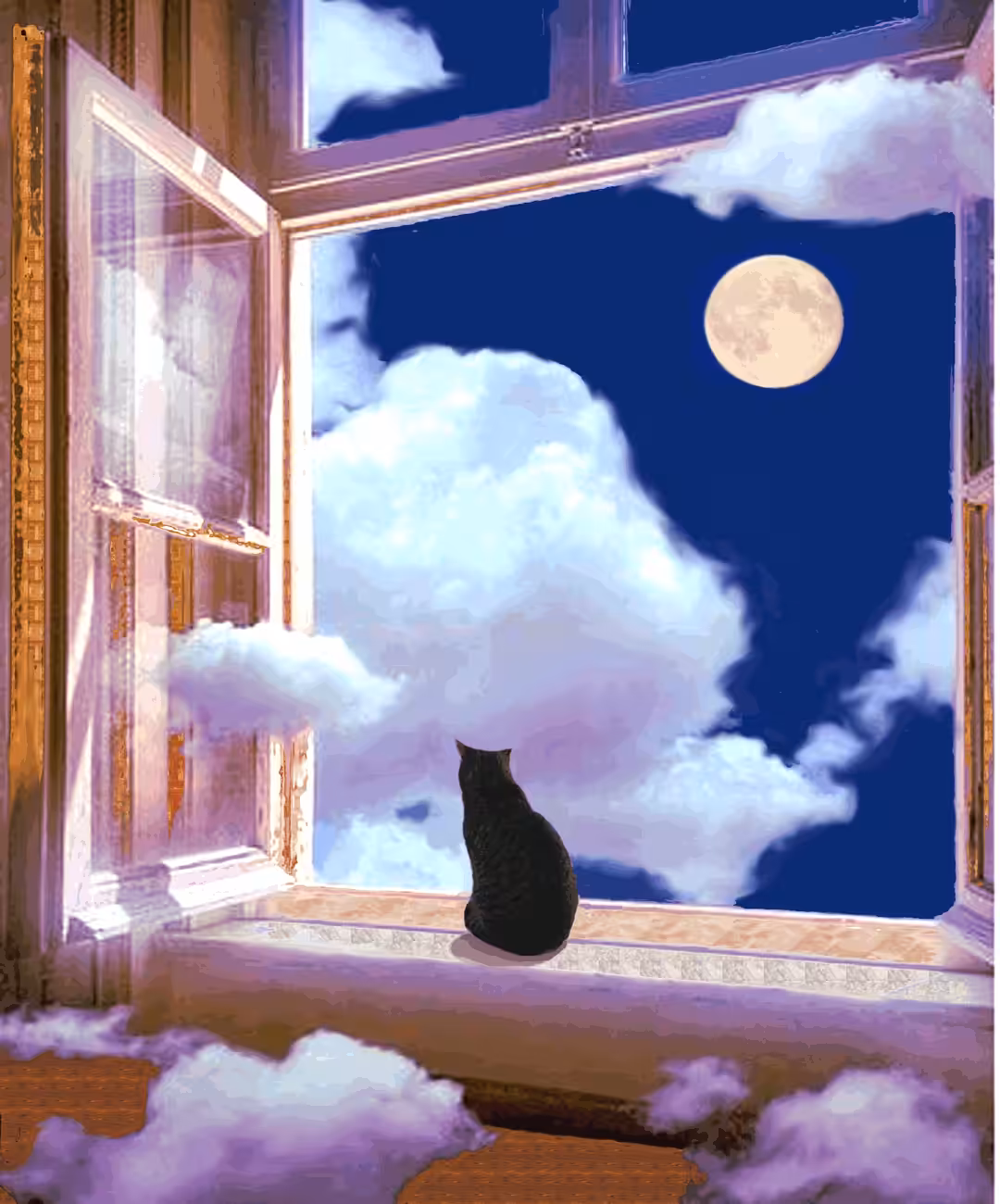 Life of Cat Pi - Pondering the Moon & Stars