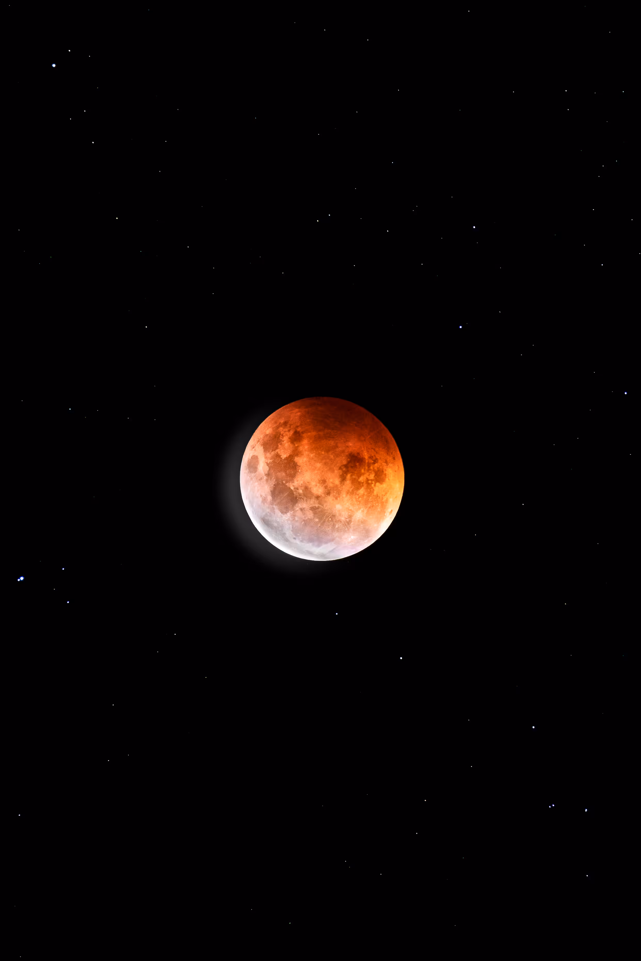 Super Flower Blood Moon FOMO