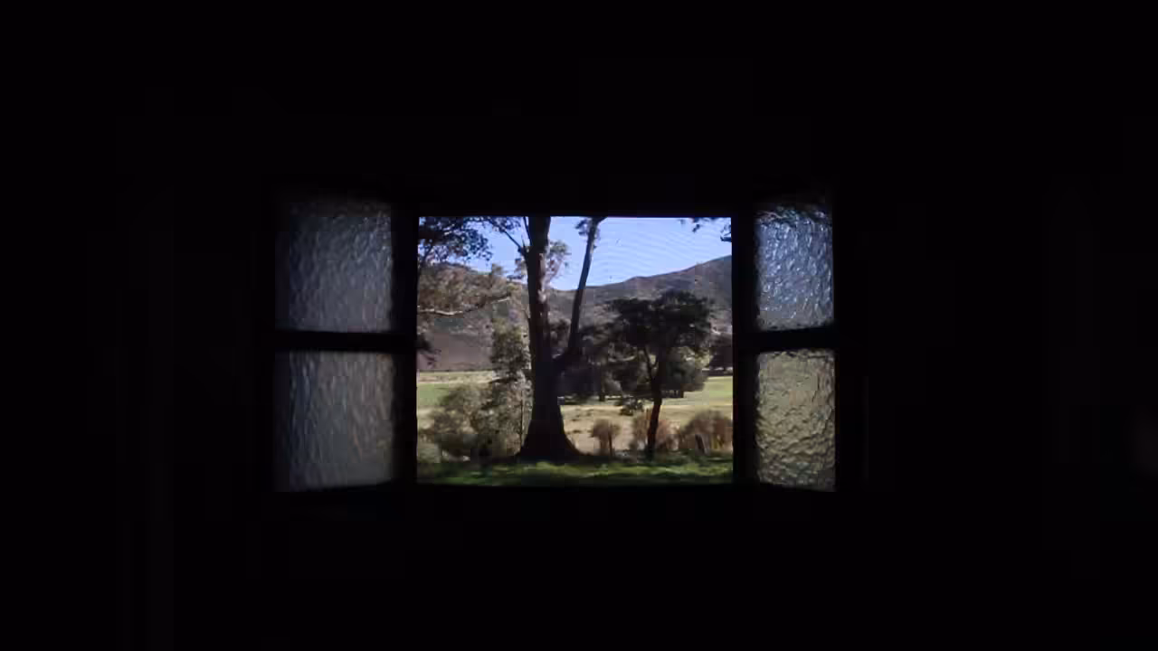 Buscando debajo de las piedras