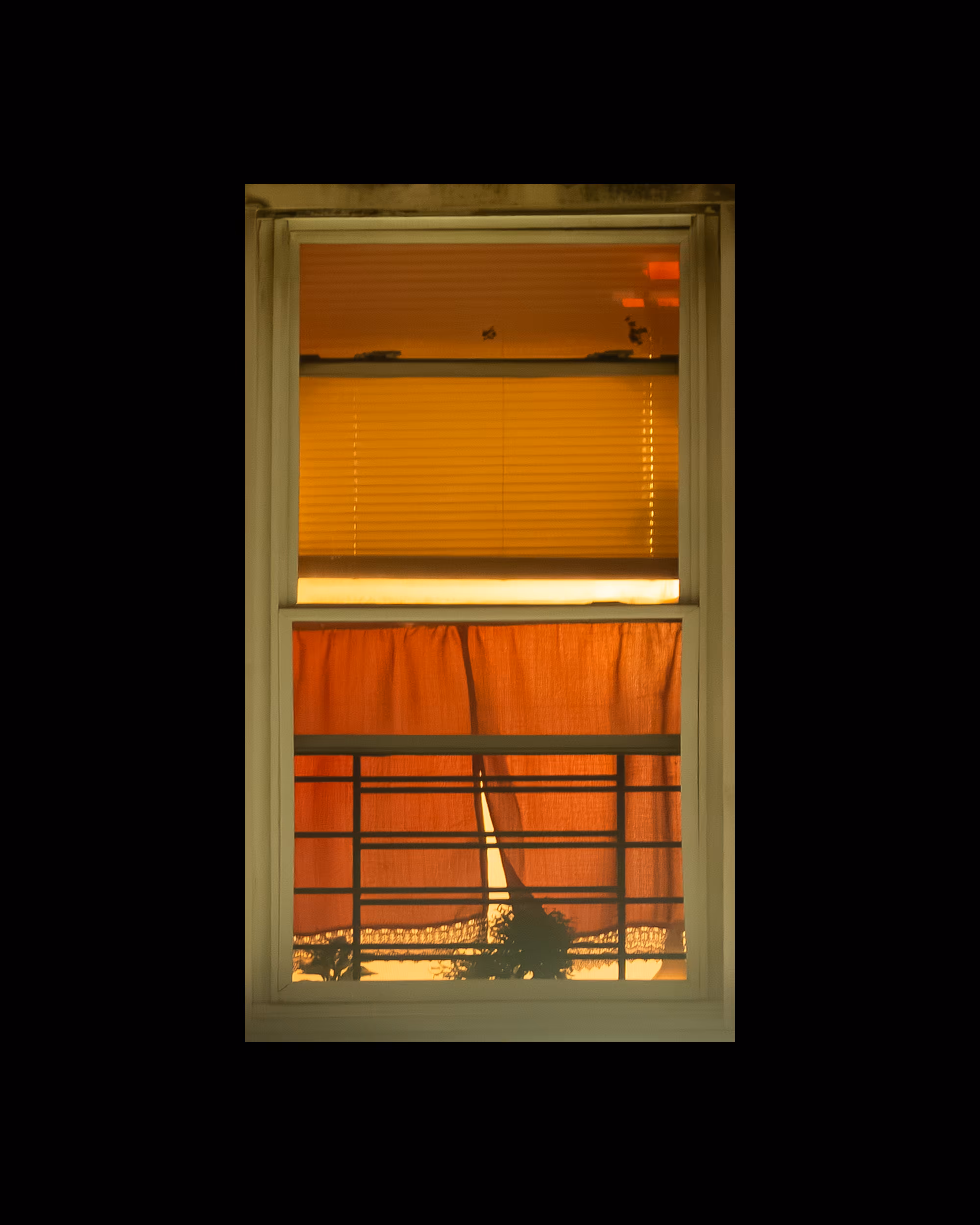 WINDOW 651