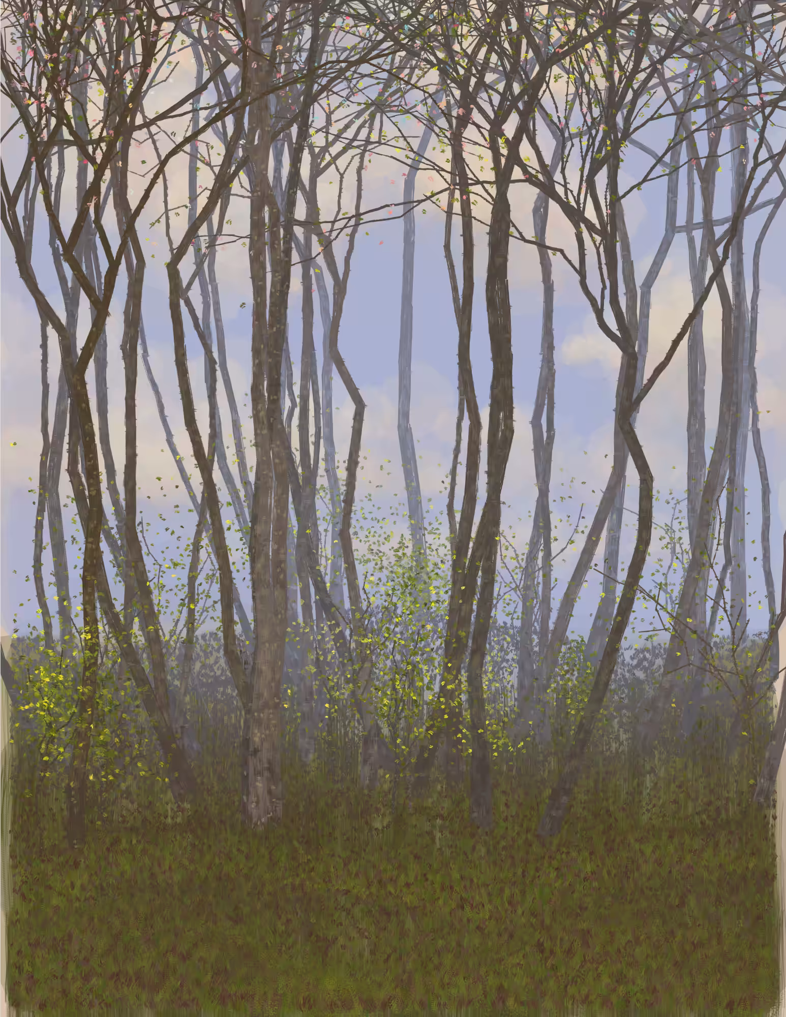Deep Forest #134