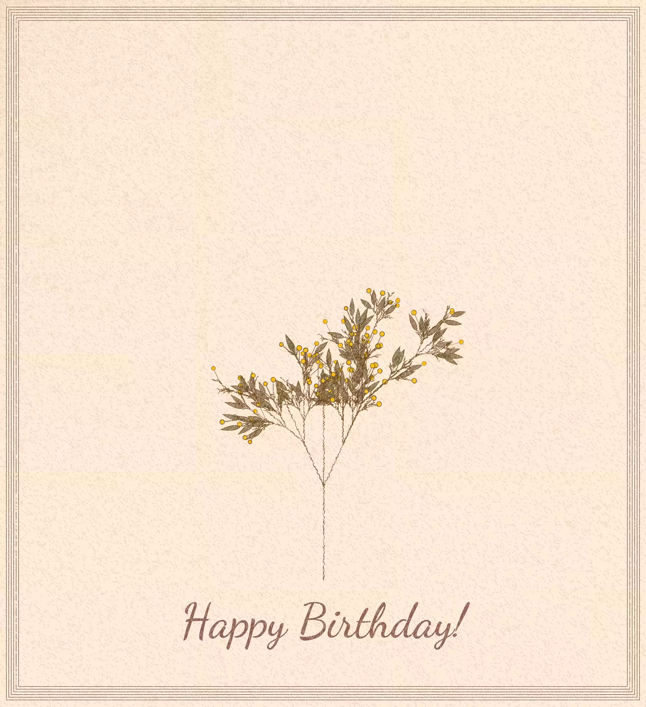 birthday cards #25
