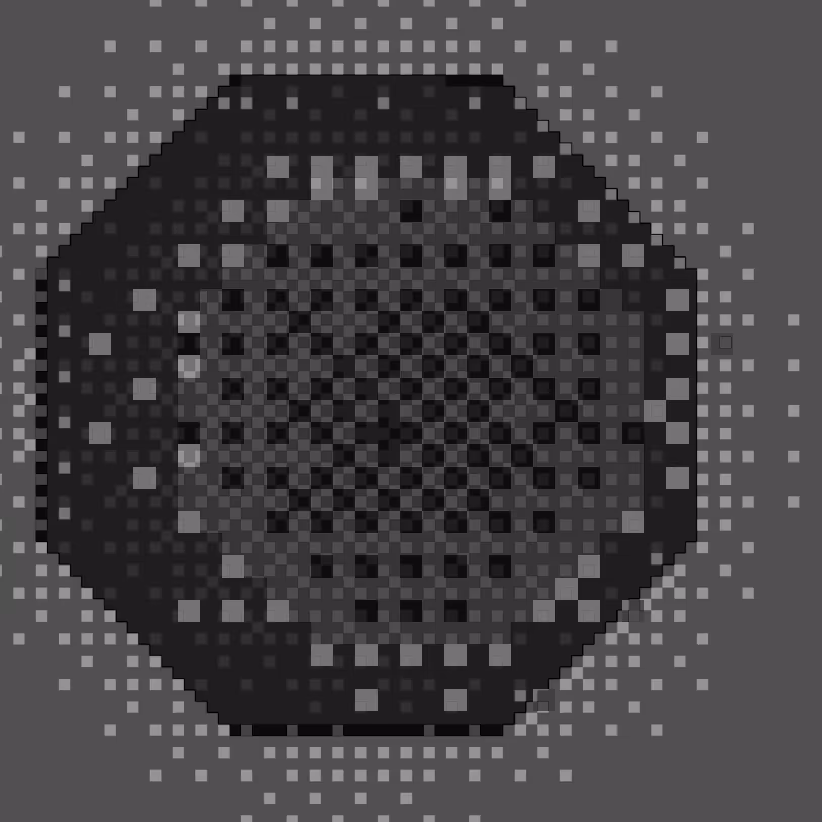 OcturtleShell